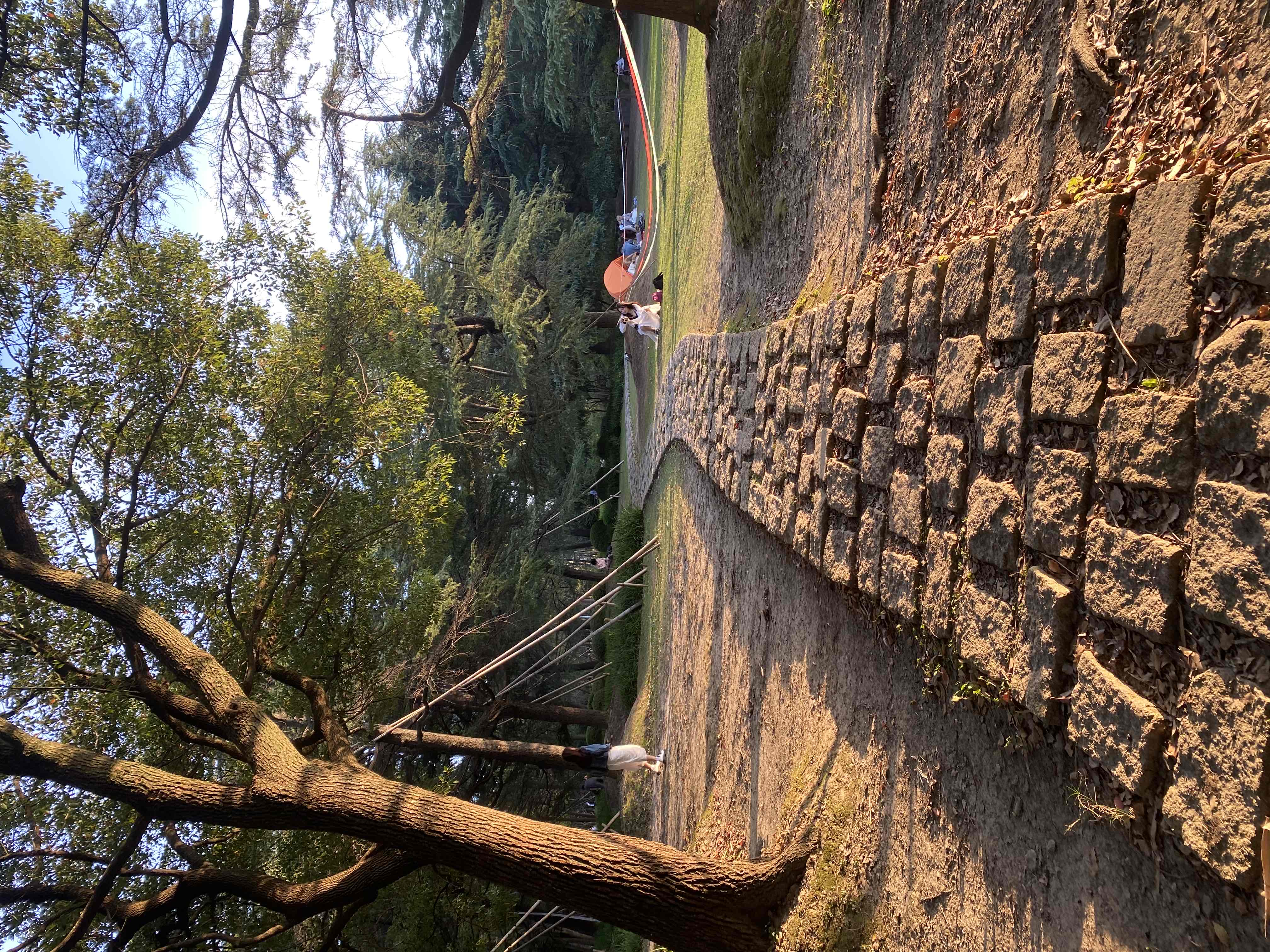 Explore the Royal Botanic Gardens