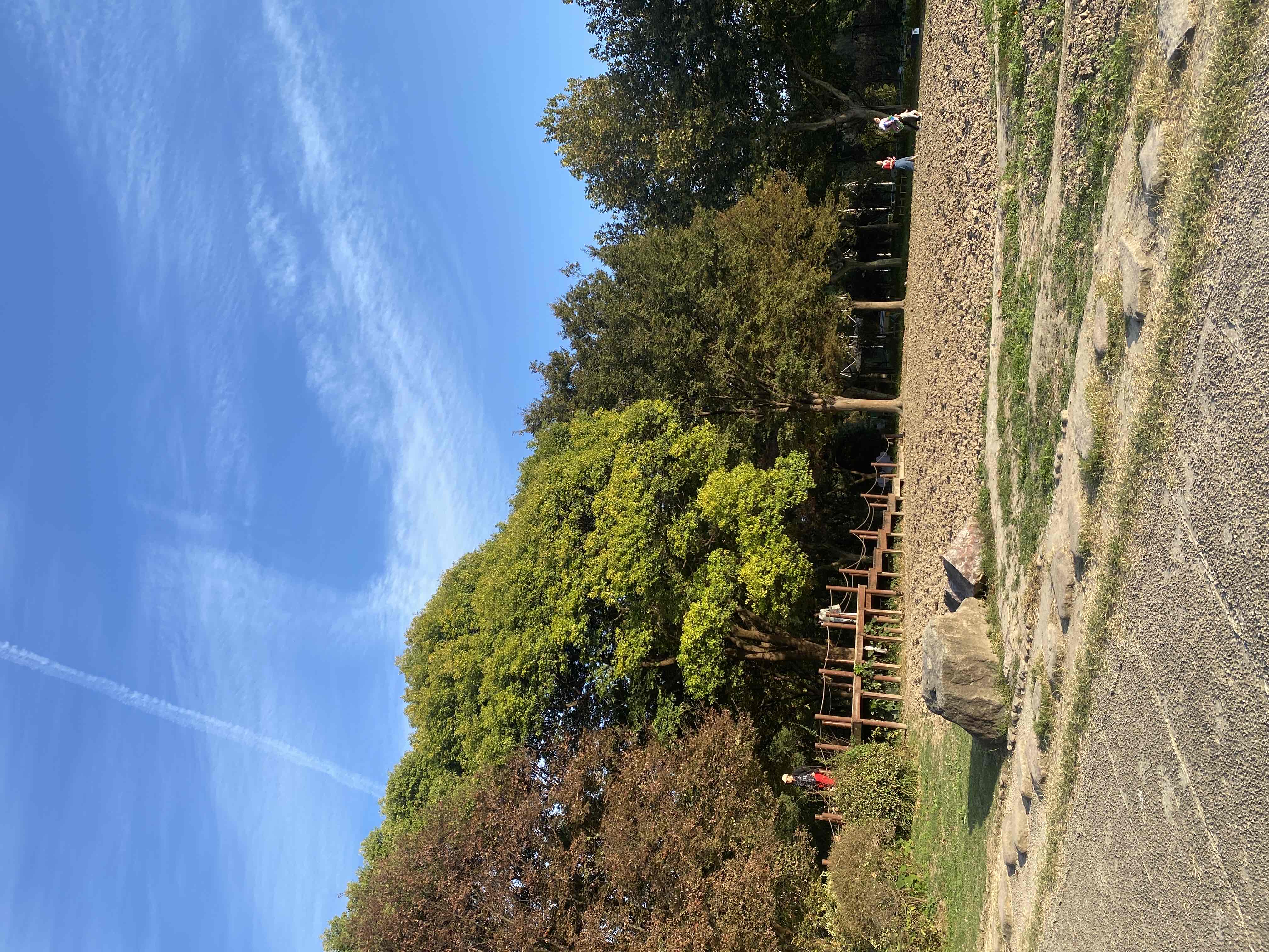 Explore the Royal Botanic Gardens