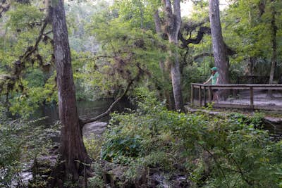 River Rapids Nature Trail