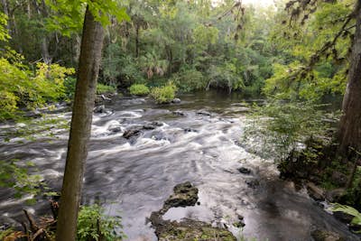 River Rapids Nature Trail