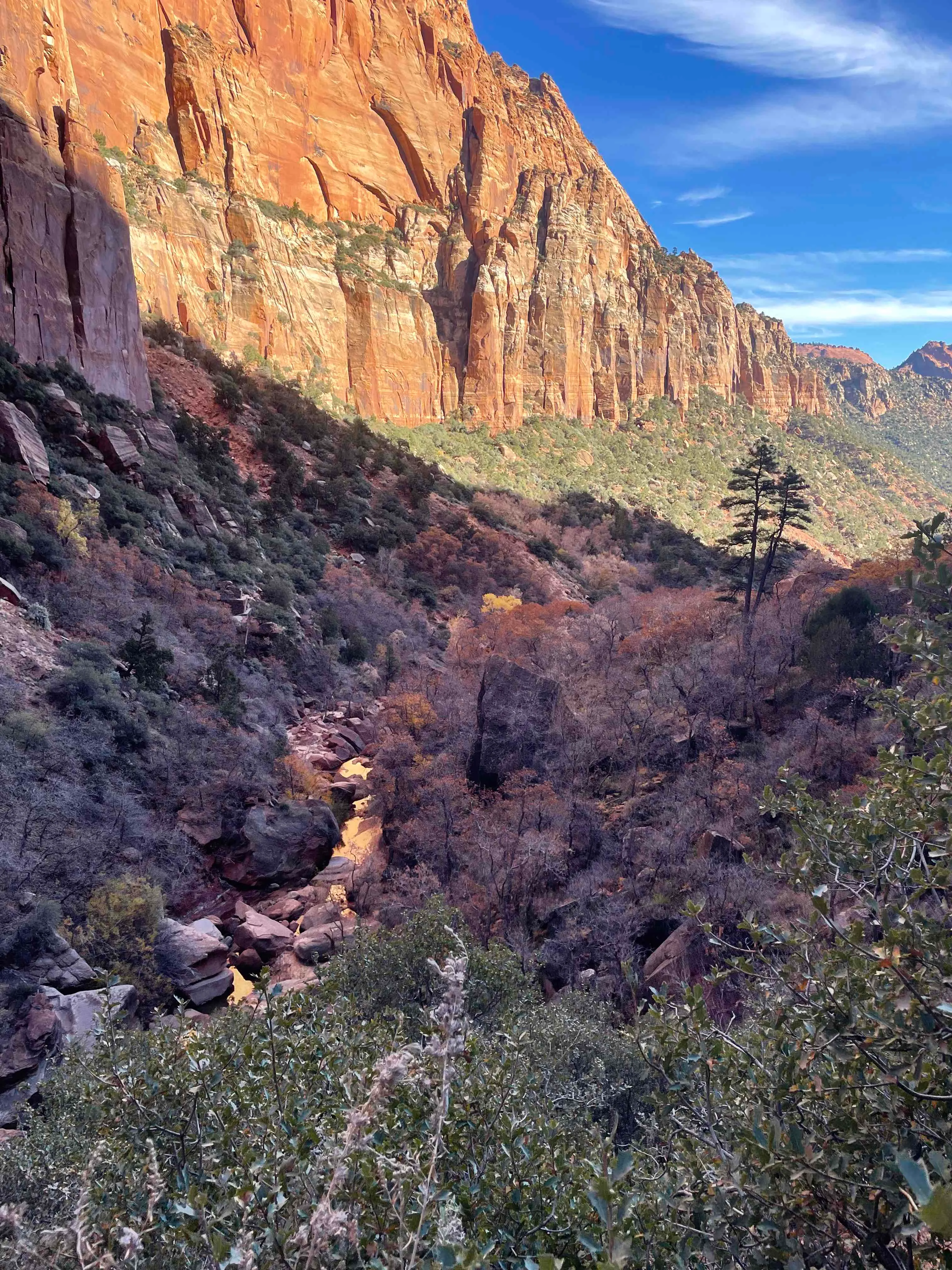 Water Canyon Trail in the Canaan Mountain Wilderness
