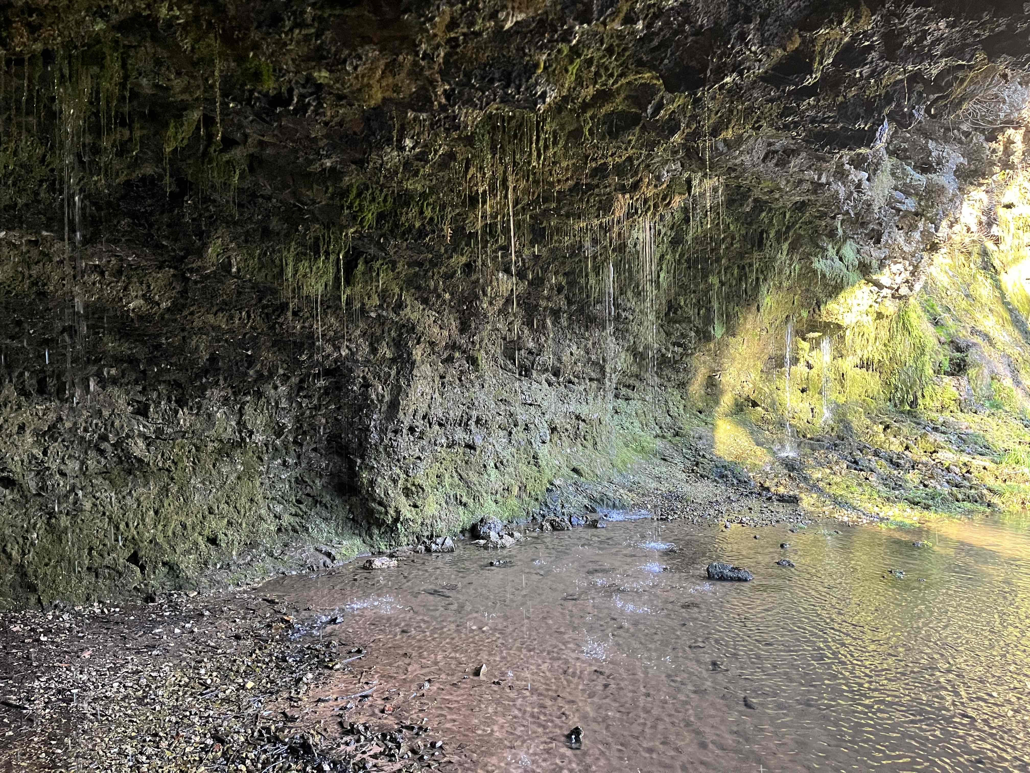 Relax at Natural Falls