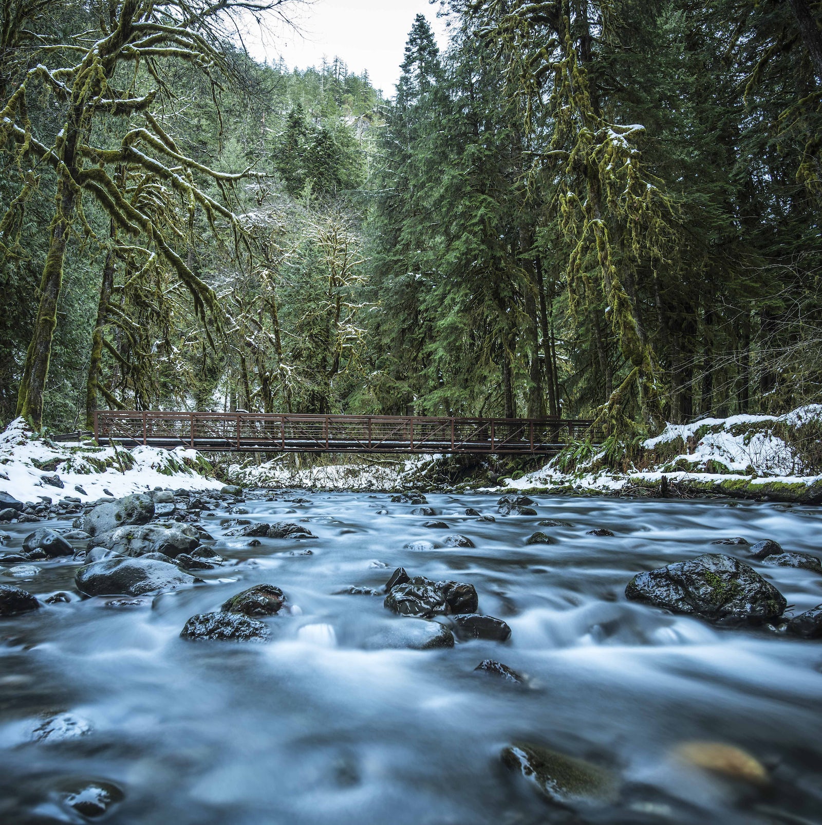 Kortum Trail