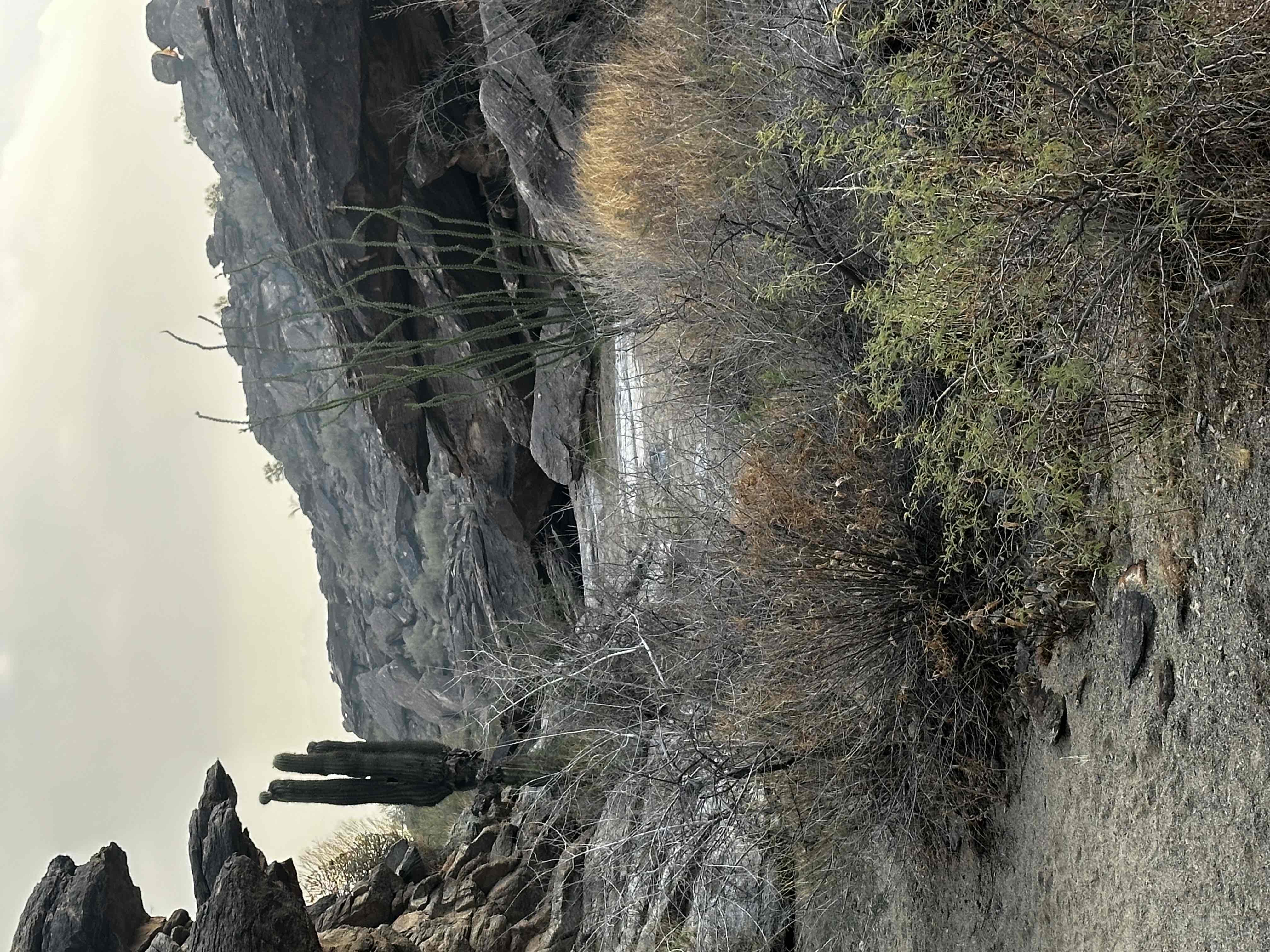 Acer Summit Via Mormon Trail
