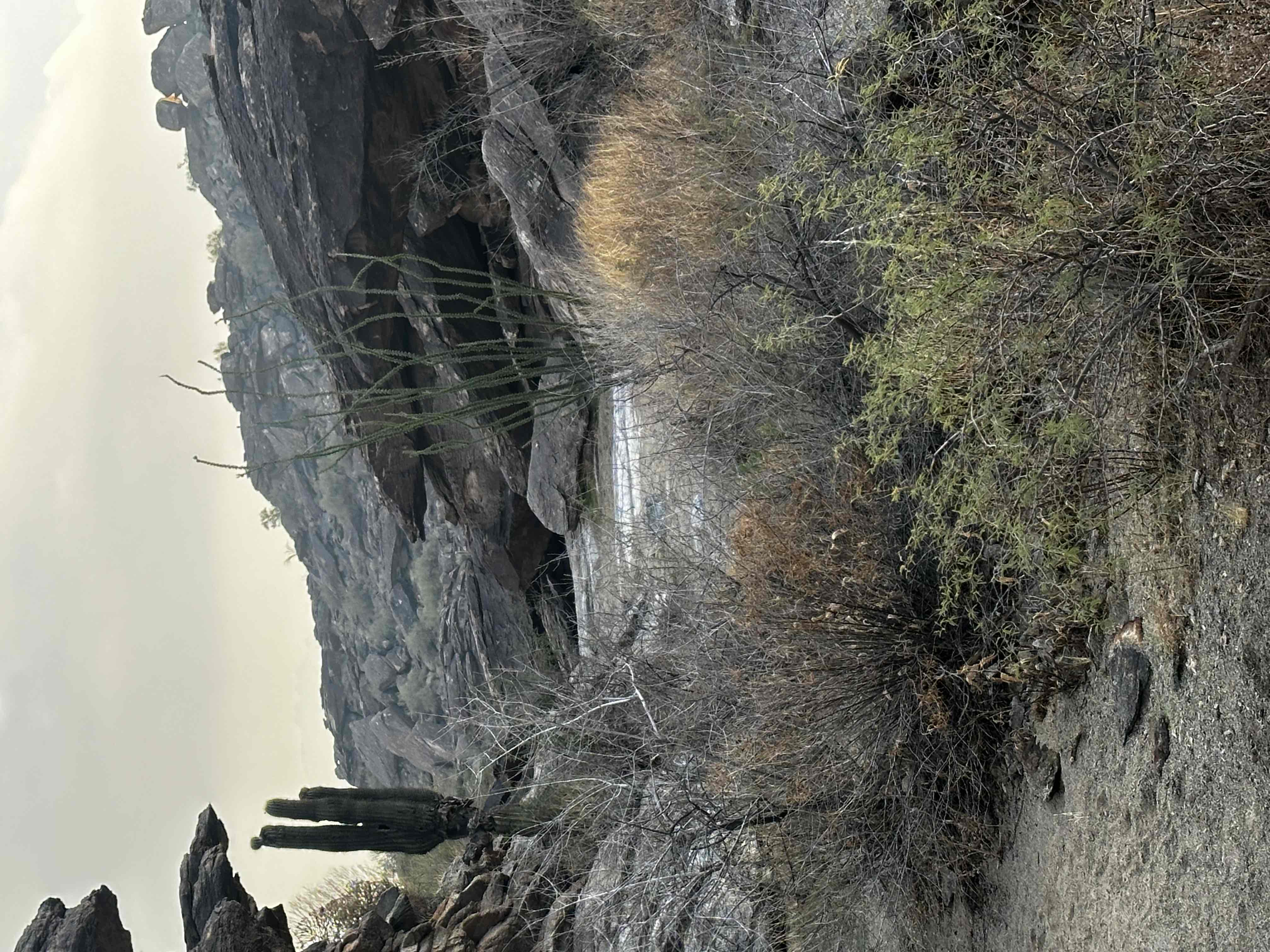 Acer Summit Via Mormon Trail