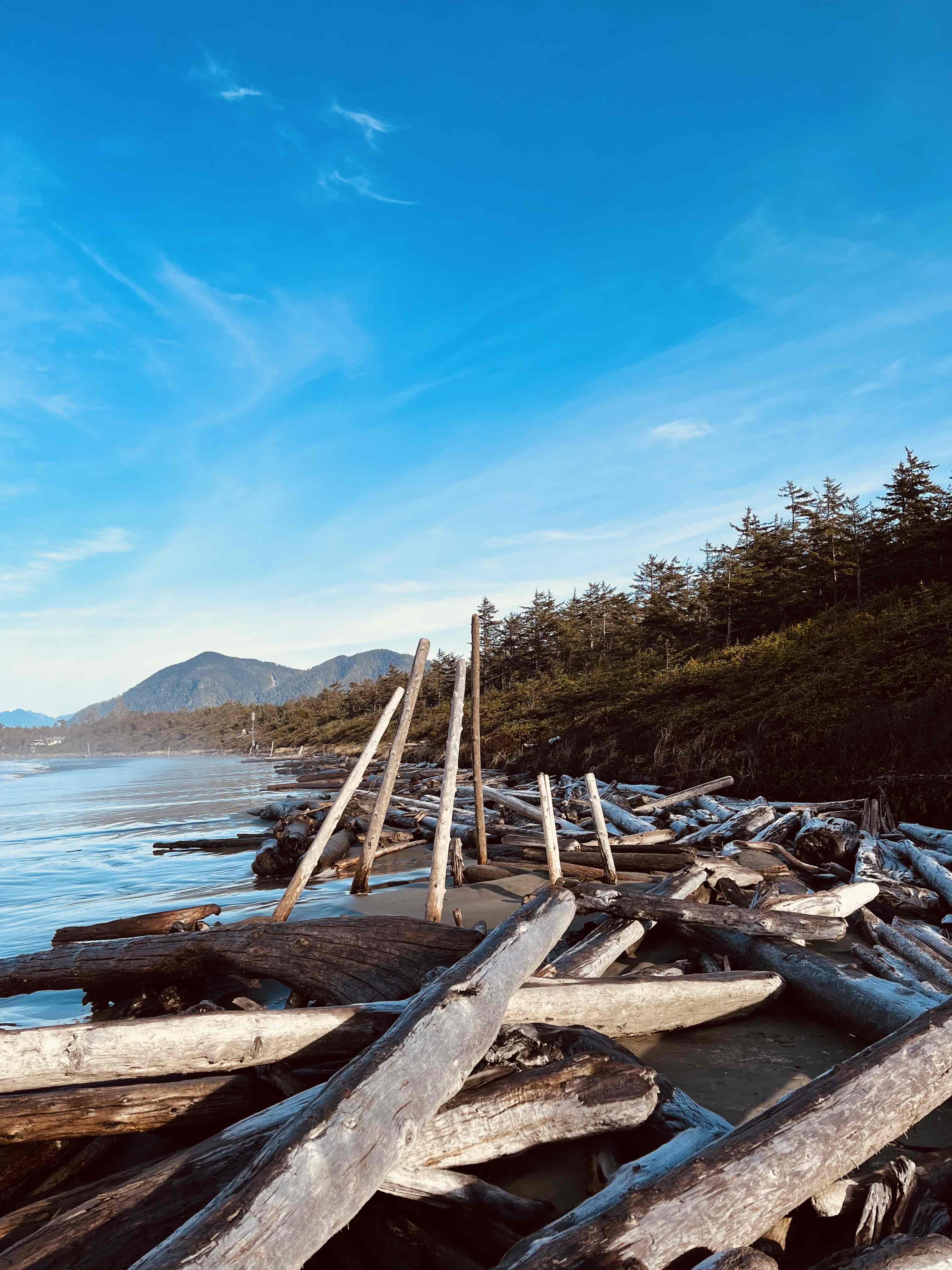 Surf Tofino's Cox Bay