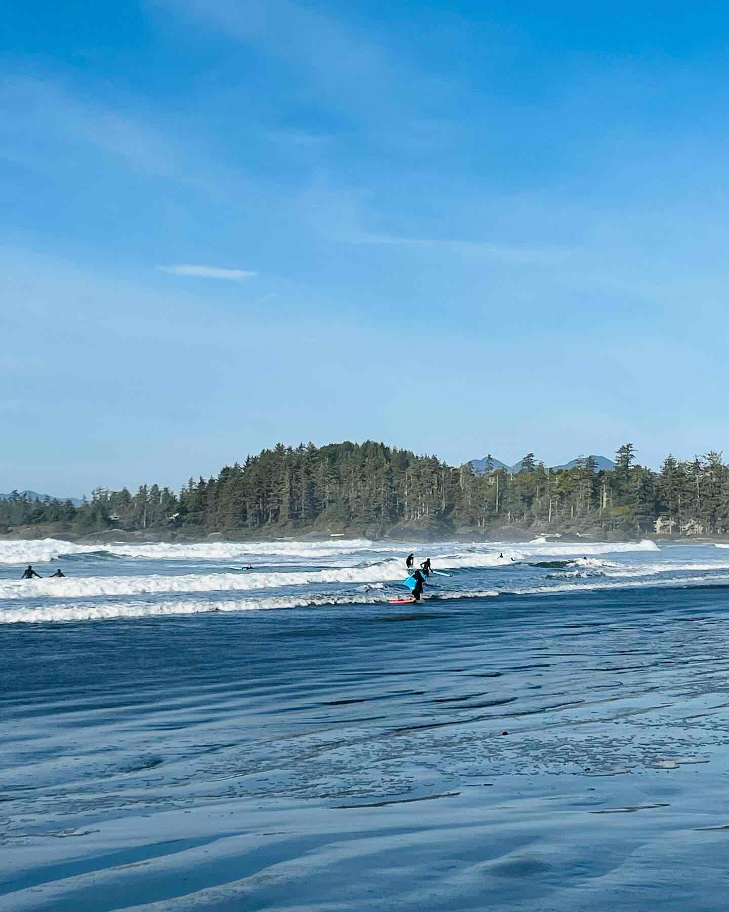 Surf Tofino's Cox Bay