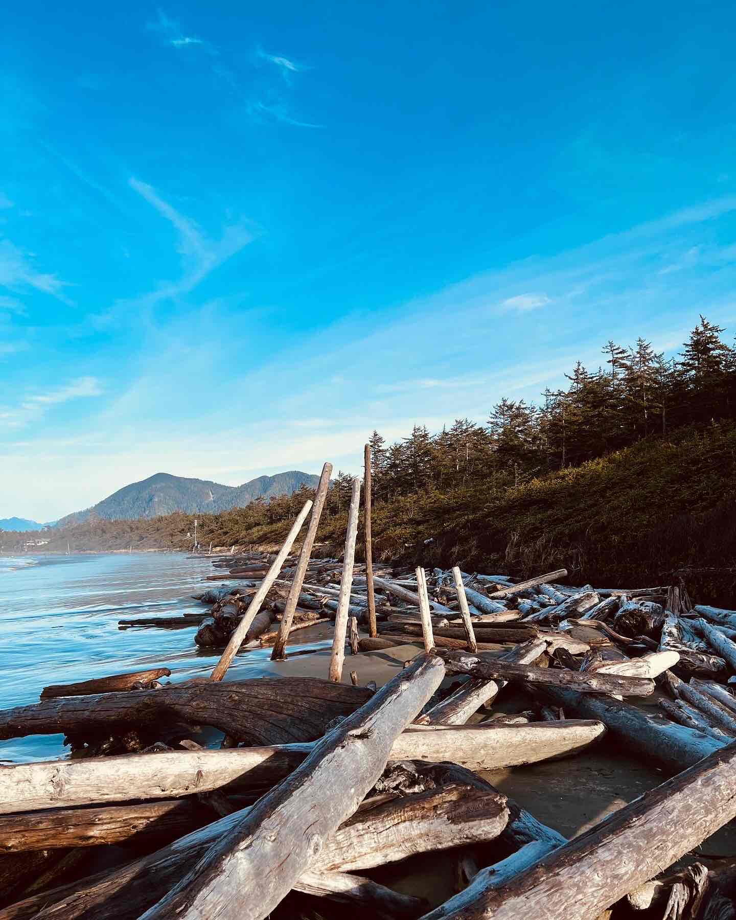 Surf Tofino's Cox Bay