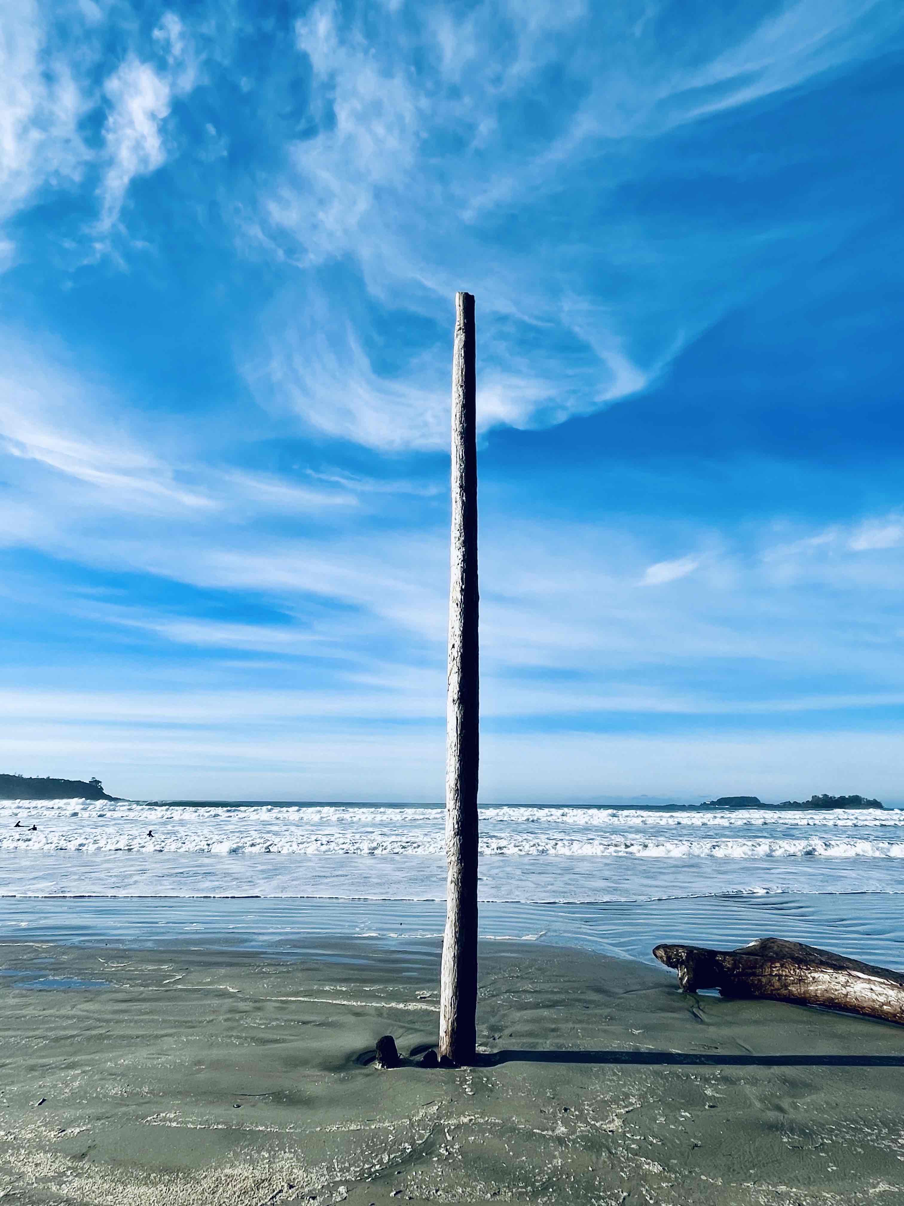Surf Tofino's Cox Bay