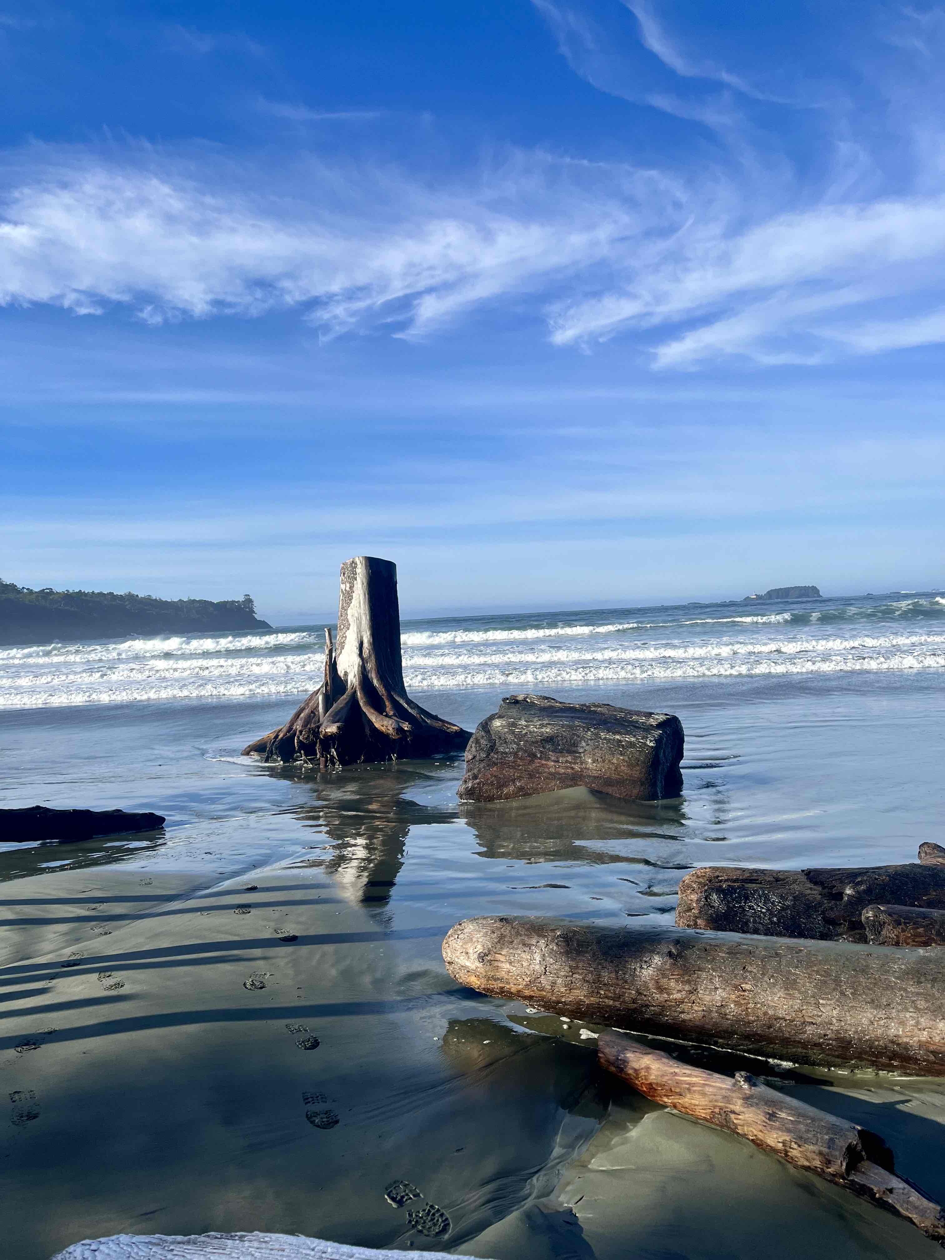 Surf Tofino's Cox Bay