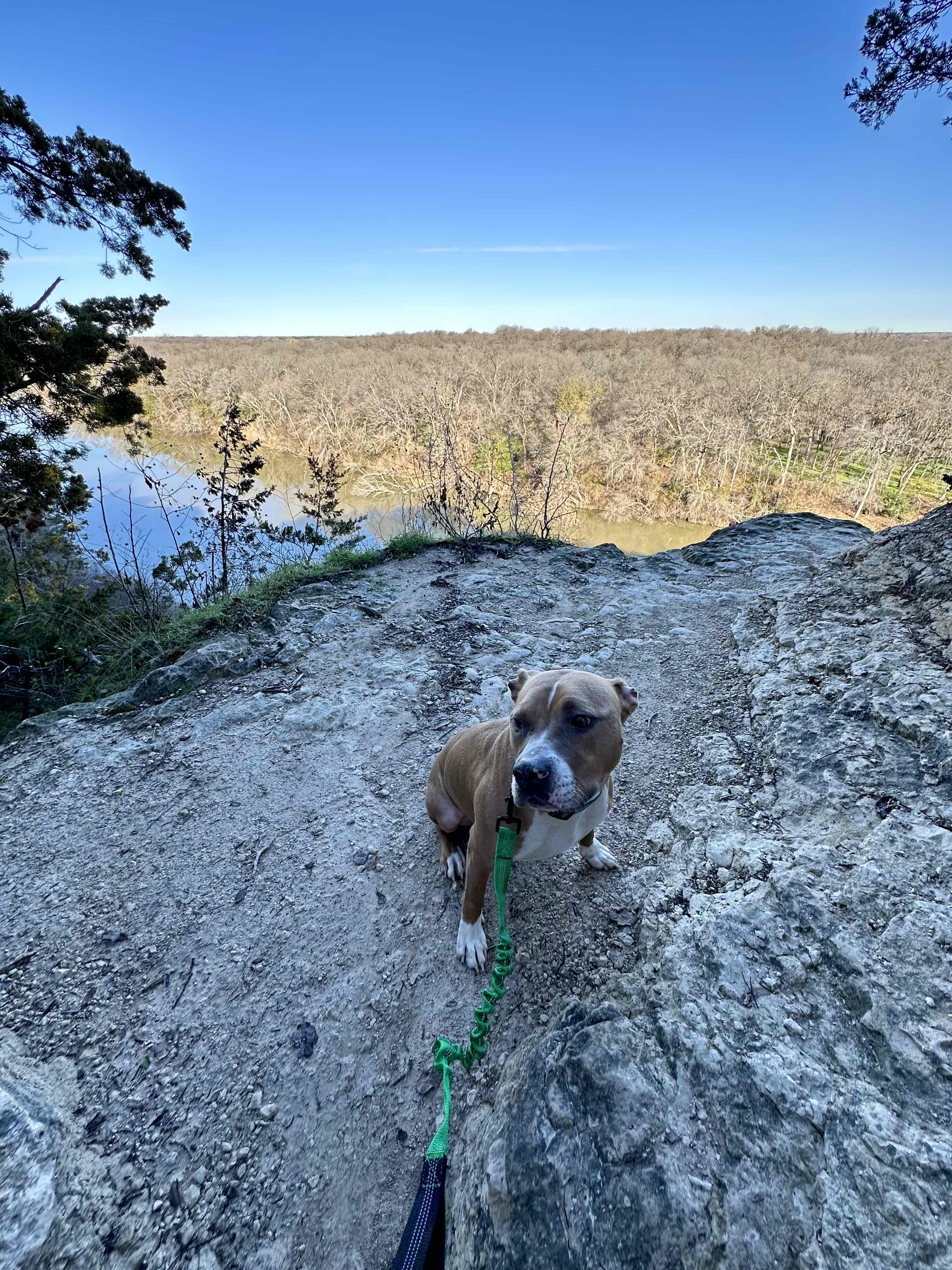 Hike Cameron Park