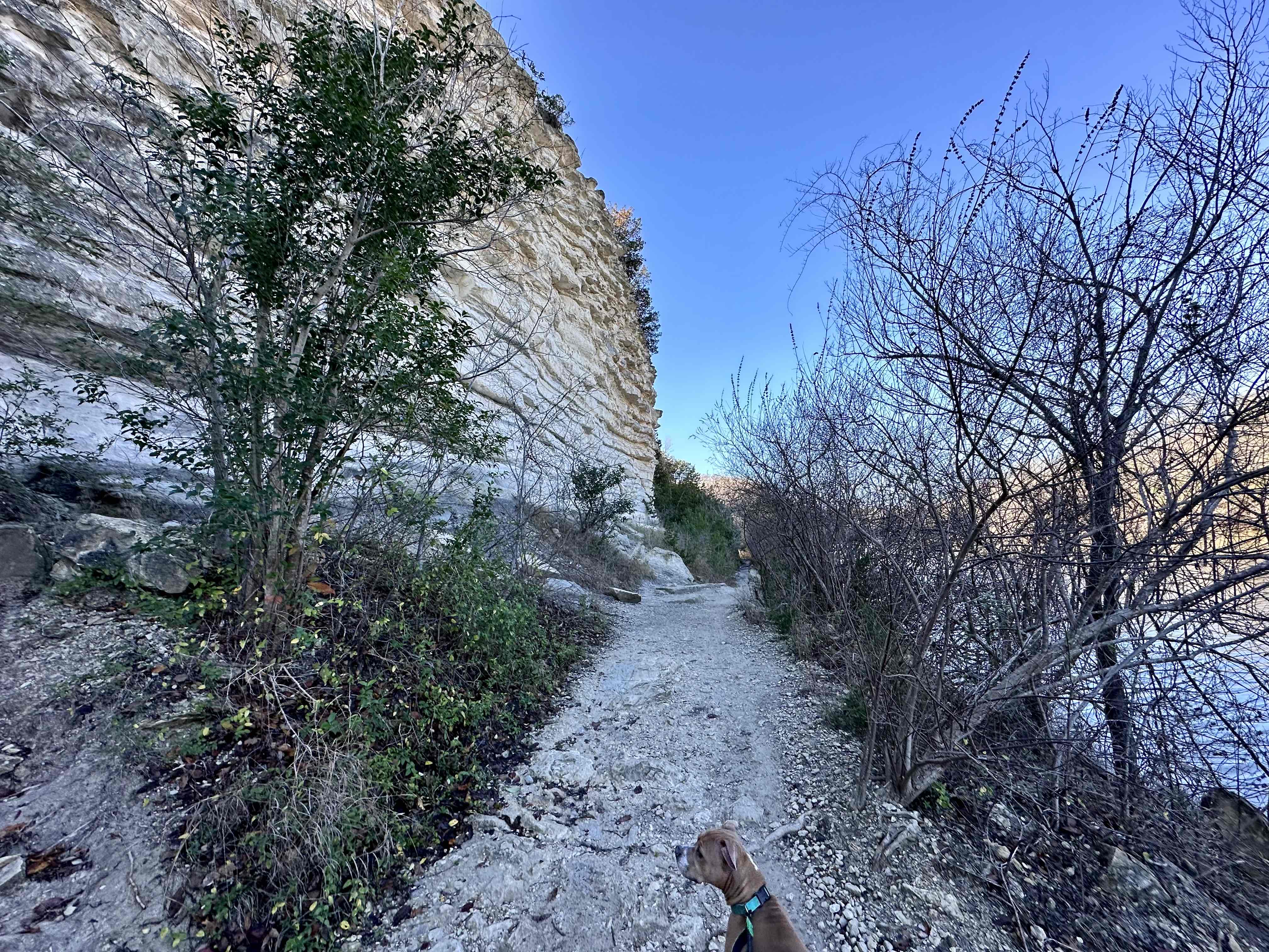 Hike Cameron Park
