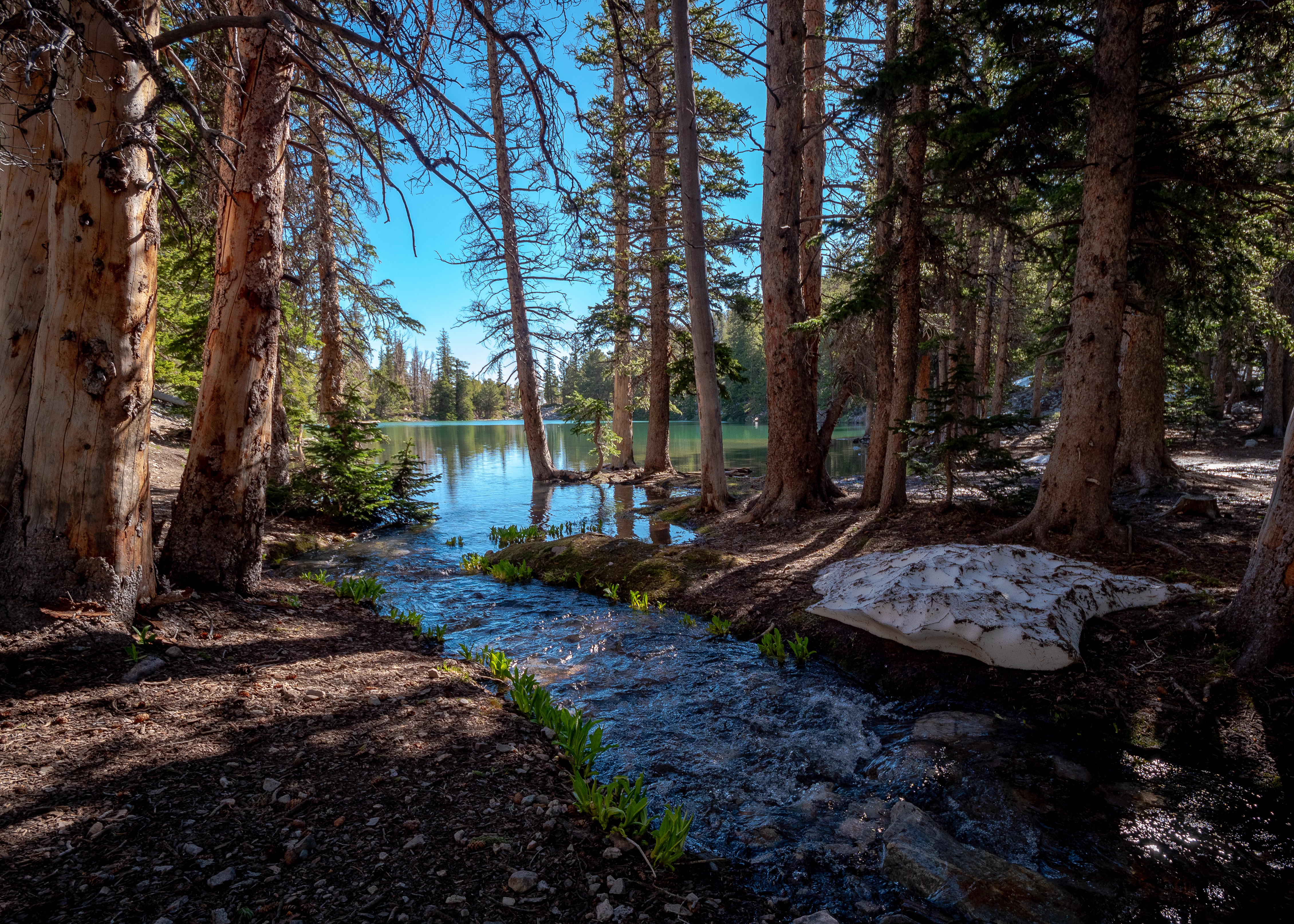 Alpine Lakes Loop in Great Basin NP