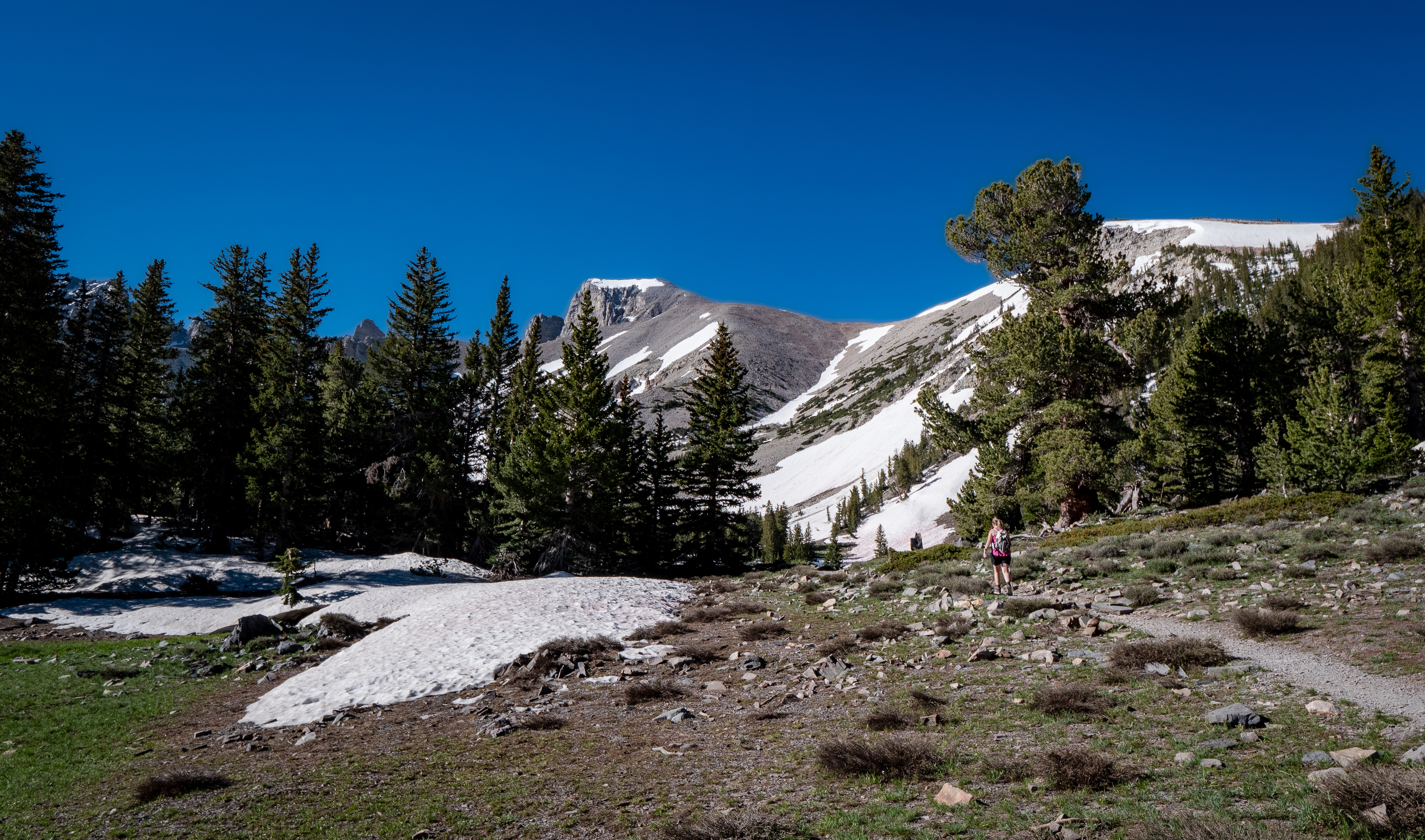 Alpine Lakes Loop in Great Basin NP