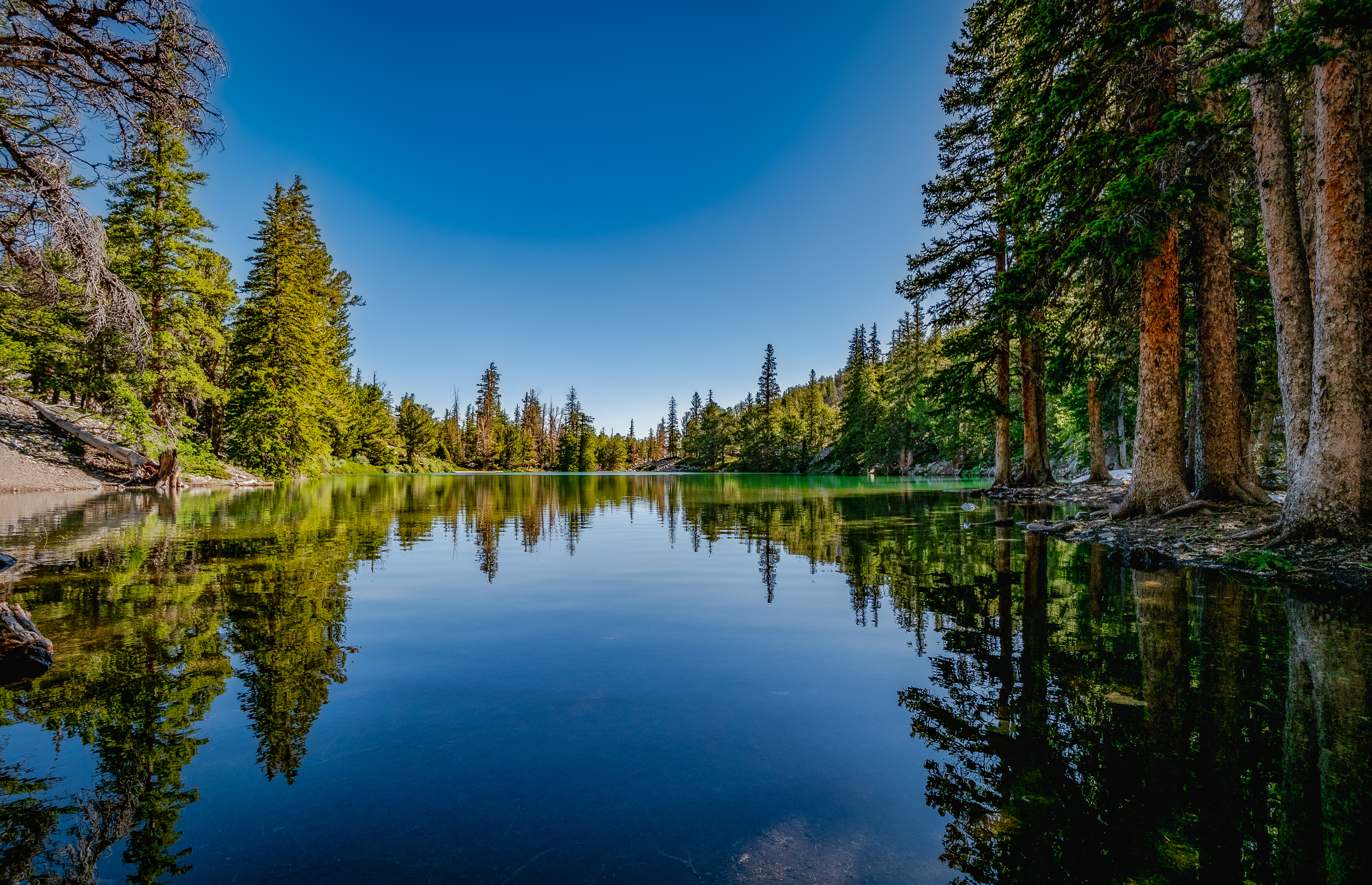 Alpine Lakes Loop in Great Basin NP