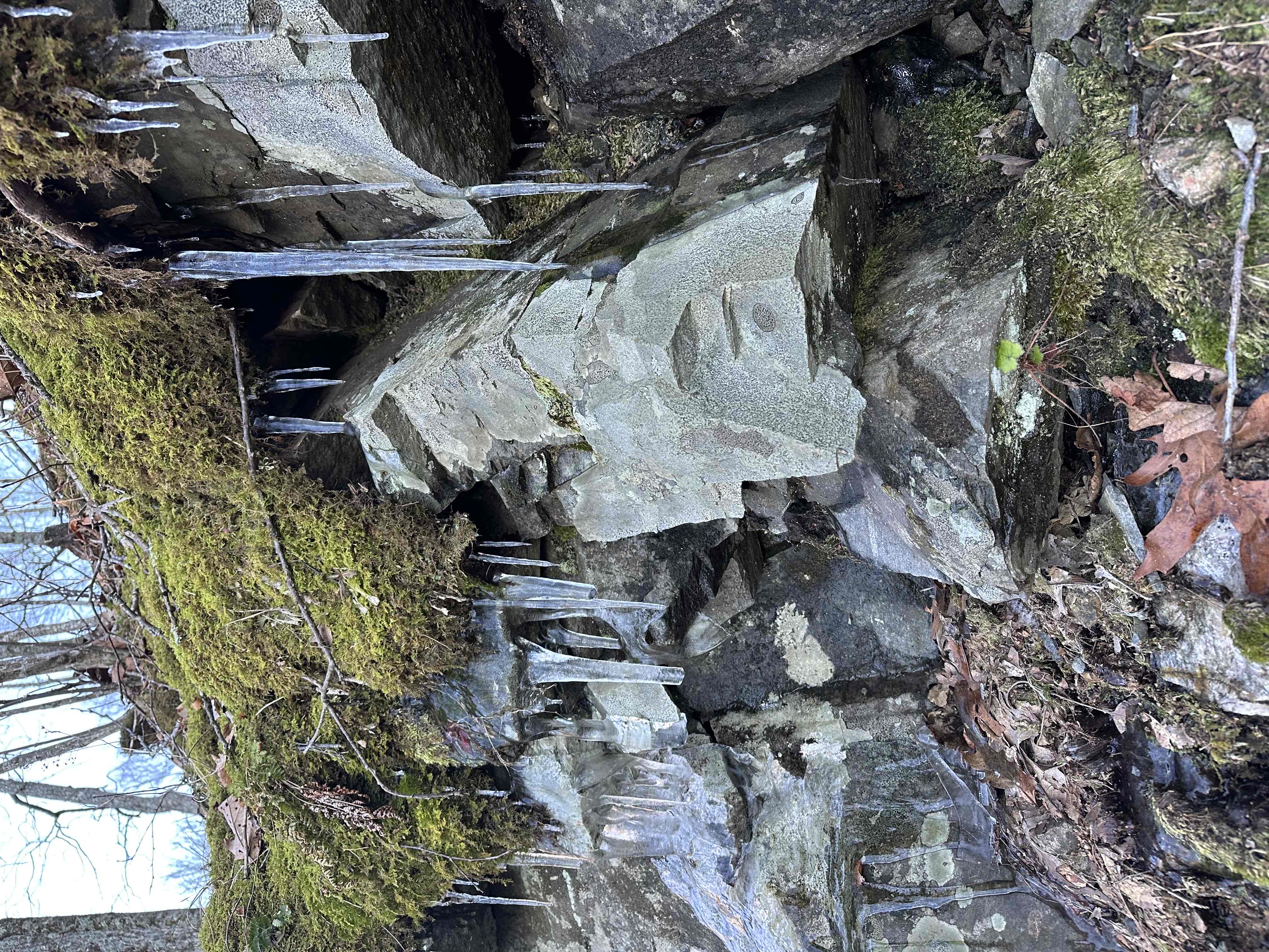 Hike the Trombatore Trail to Blue Ridge Pastures