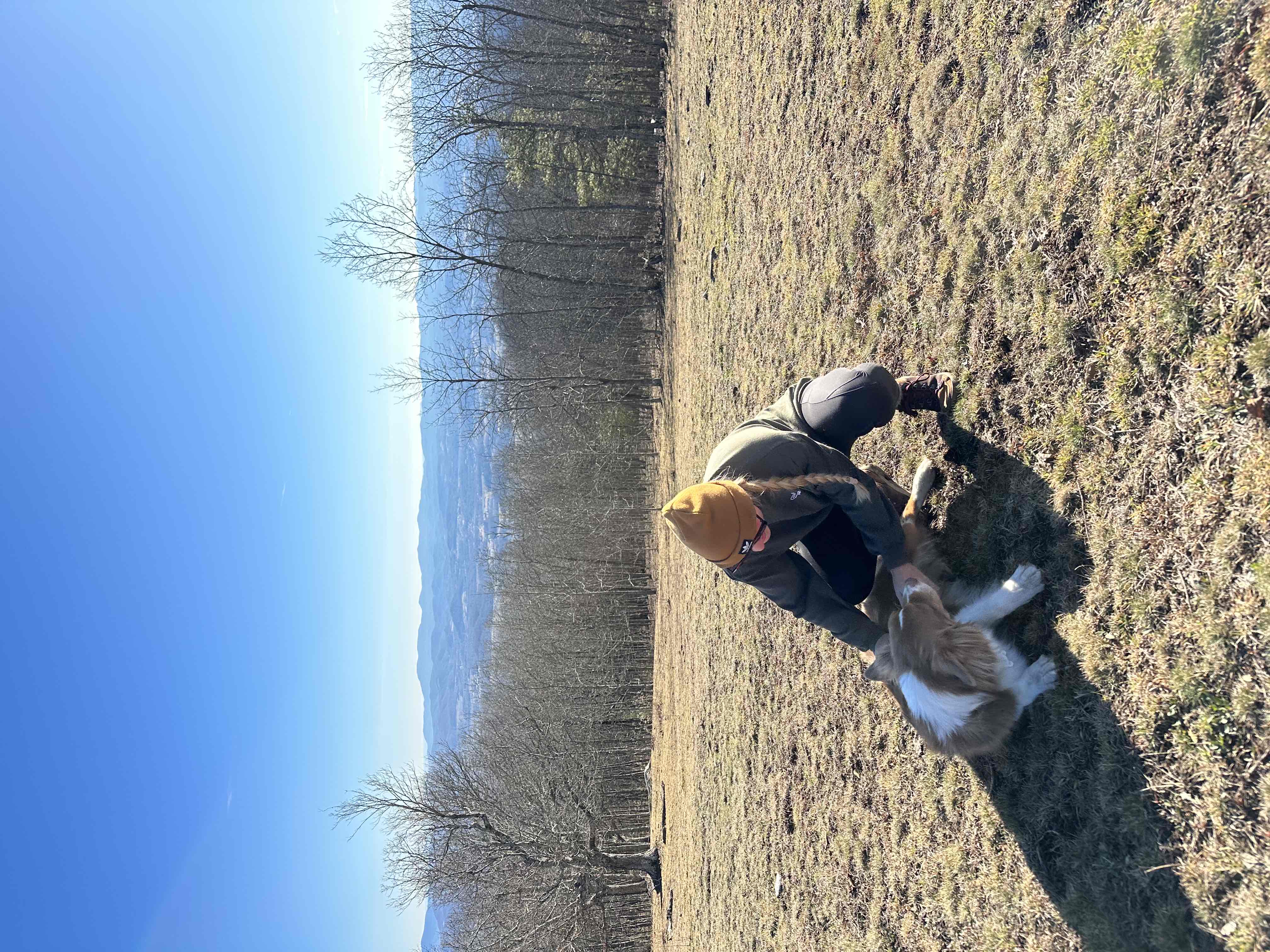 Hike the Trombatore Trail to Blue Ridge Pastures