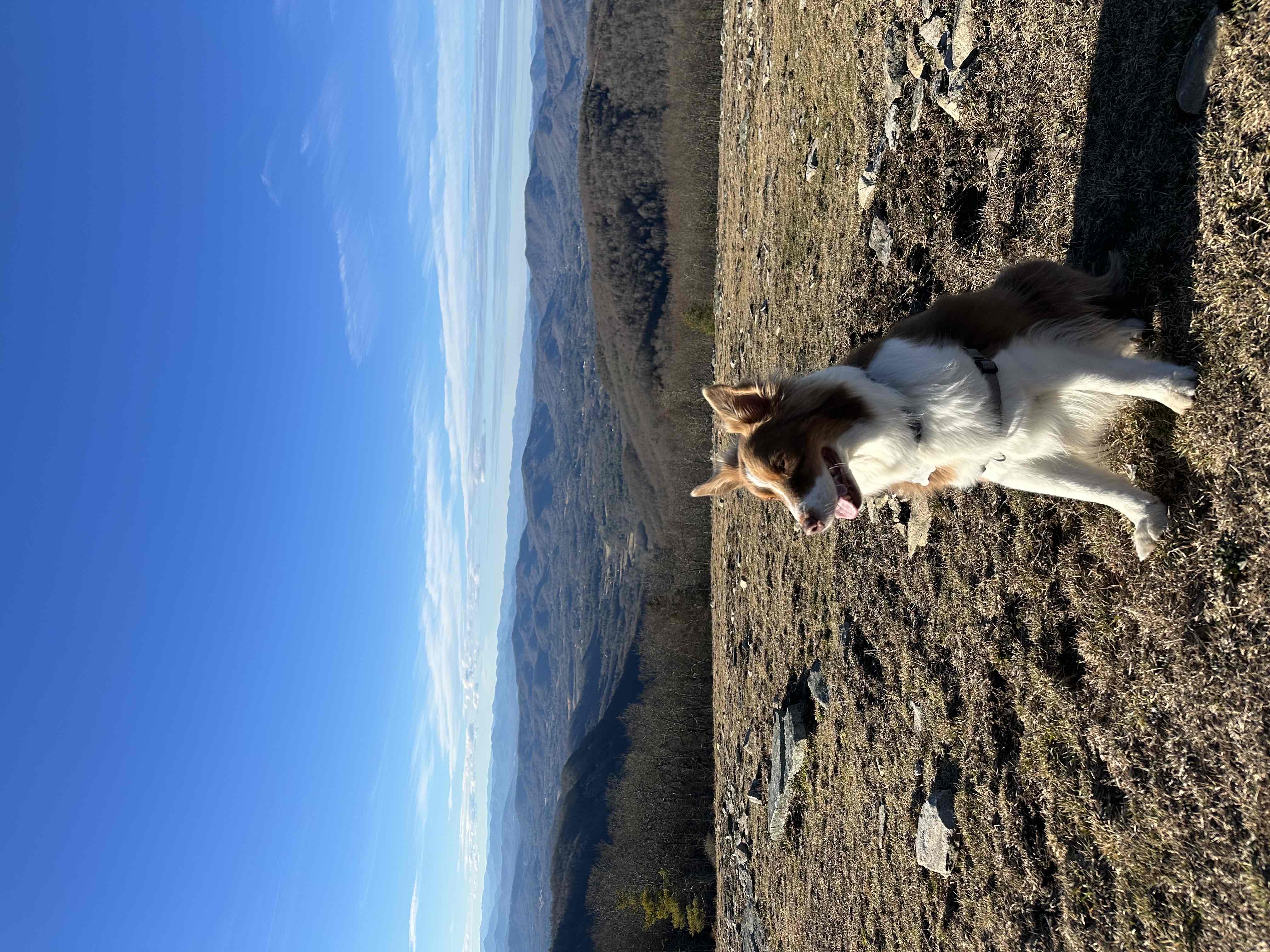Hike the Trombatore Trail to Blue Ridge Pastures