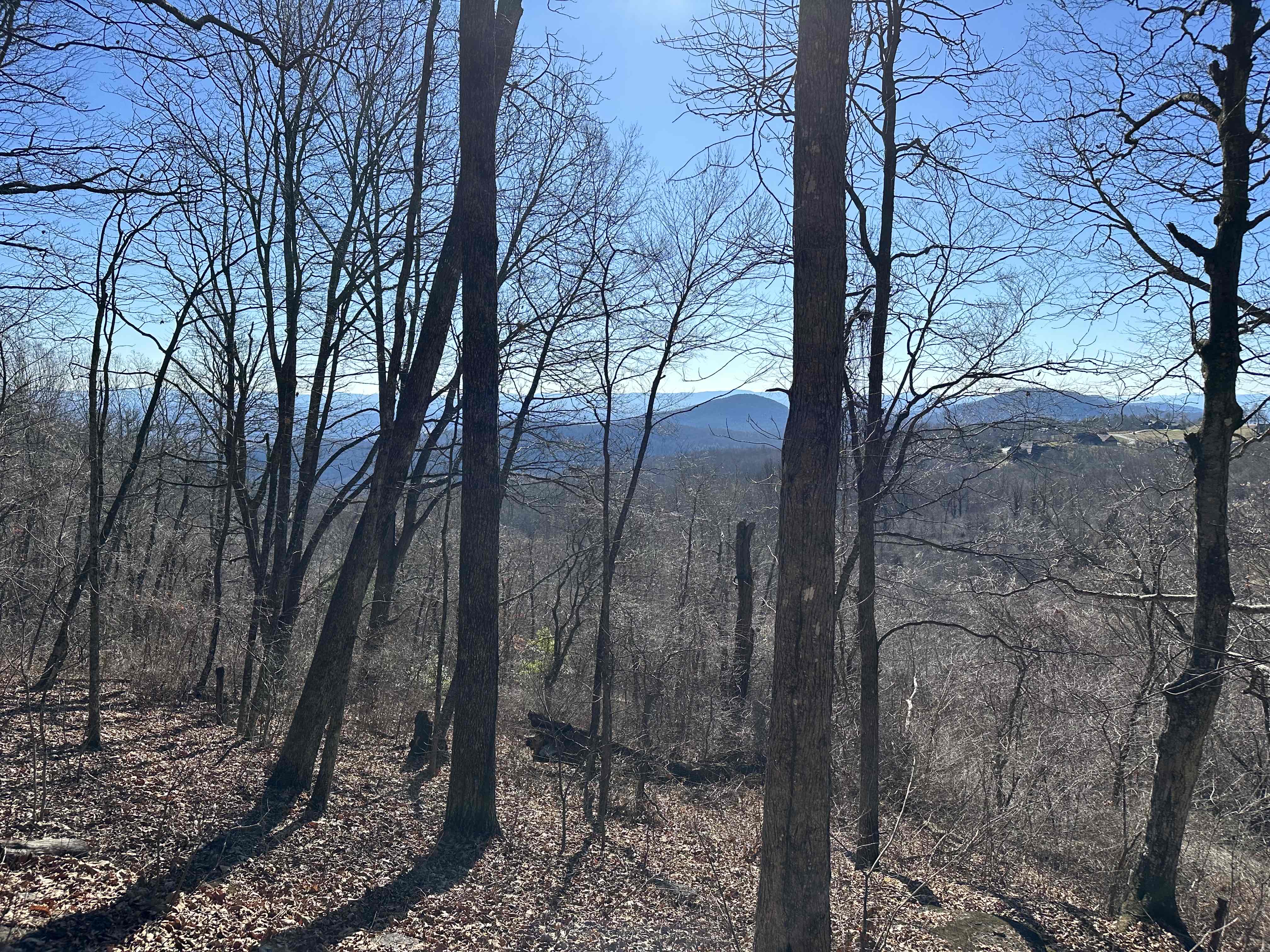 Hike the Trombatore Trail to Blue Ridge Pastures