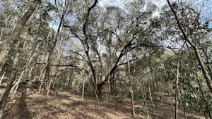 Dames Caves and Lizzie Heart Sink Loop Trail