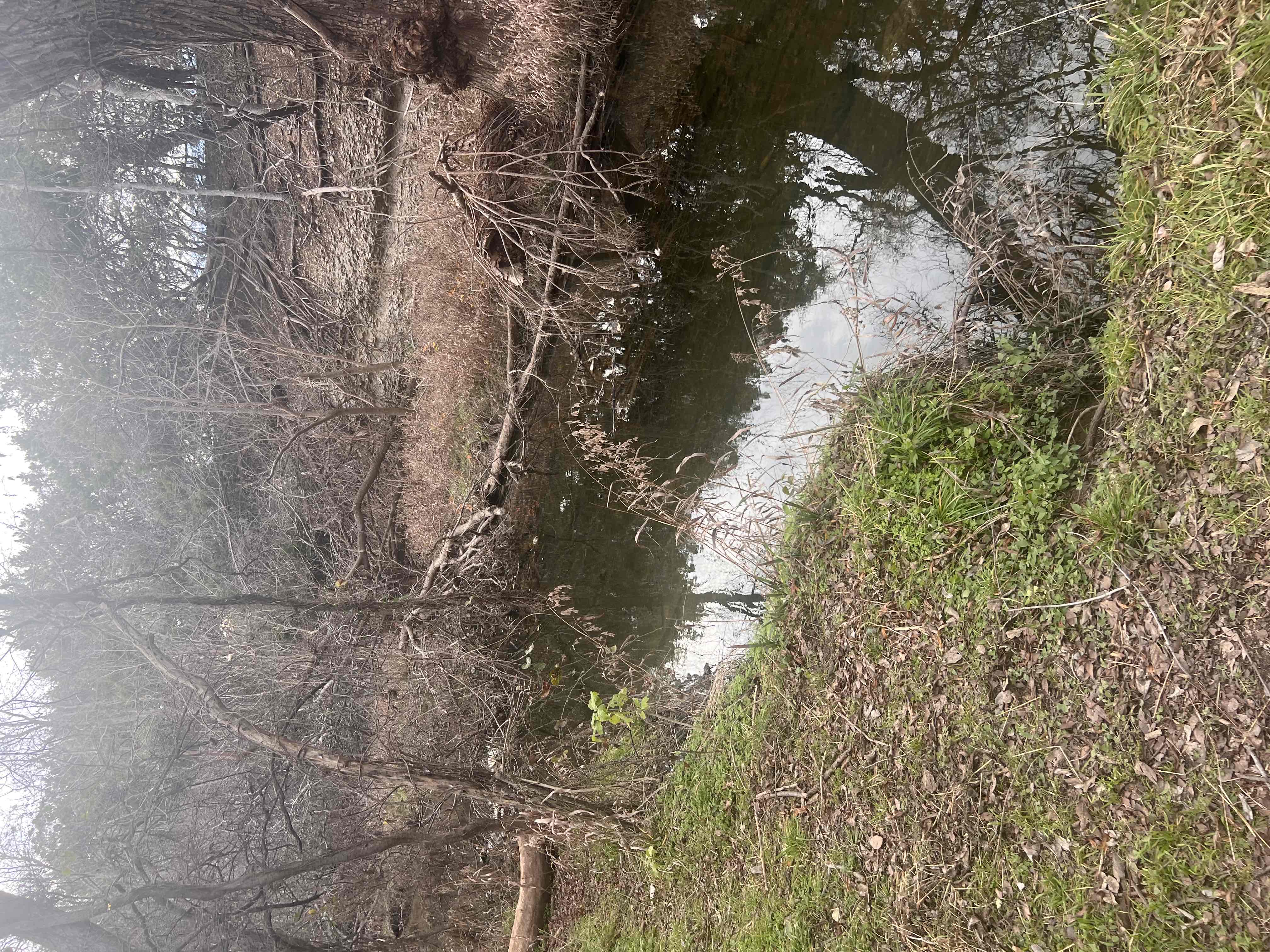 Hike the Brushy Creek Regional Trail