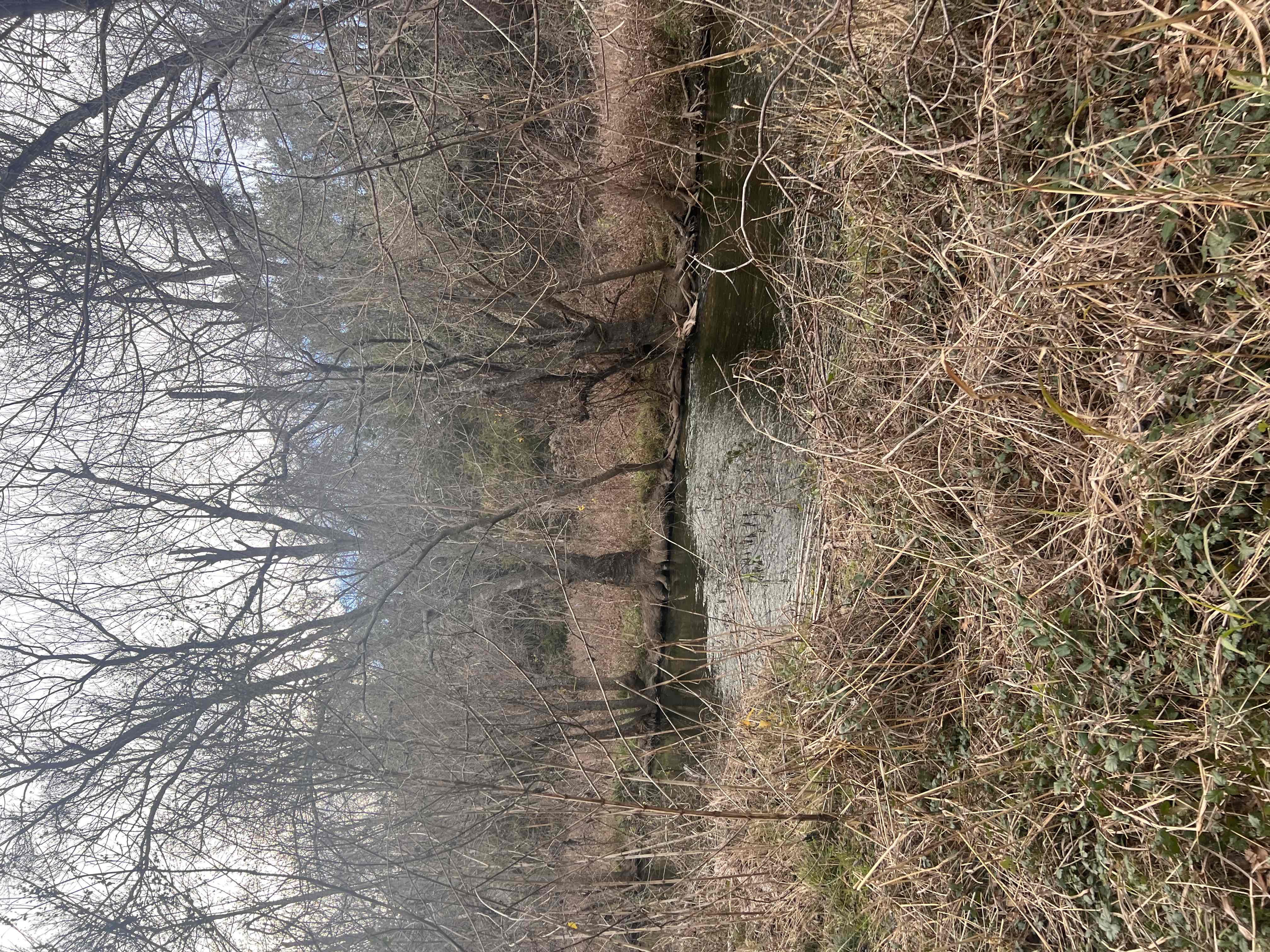 Hike the Brushy Creek Regional Trail