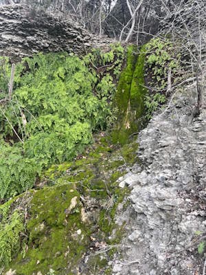 Hike the Brushy Creek Regional Trail