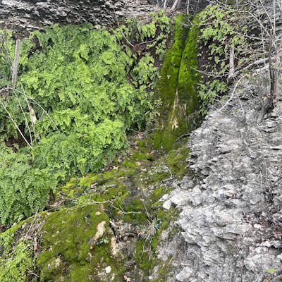 Hike the Brushy Creek Regional Trail