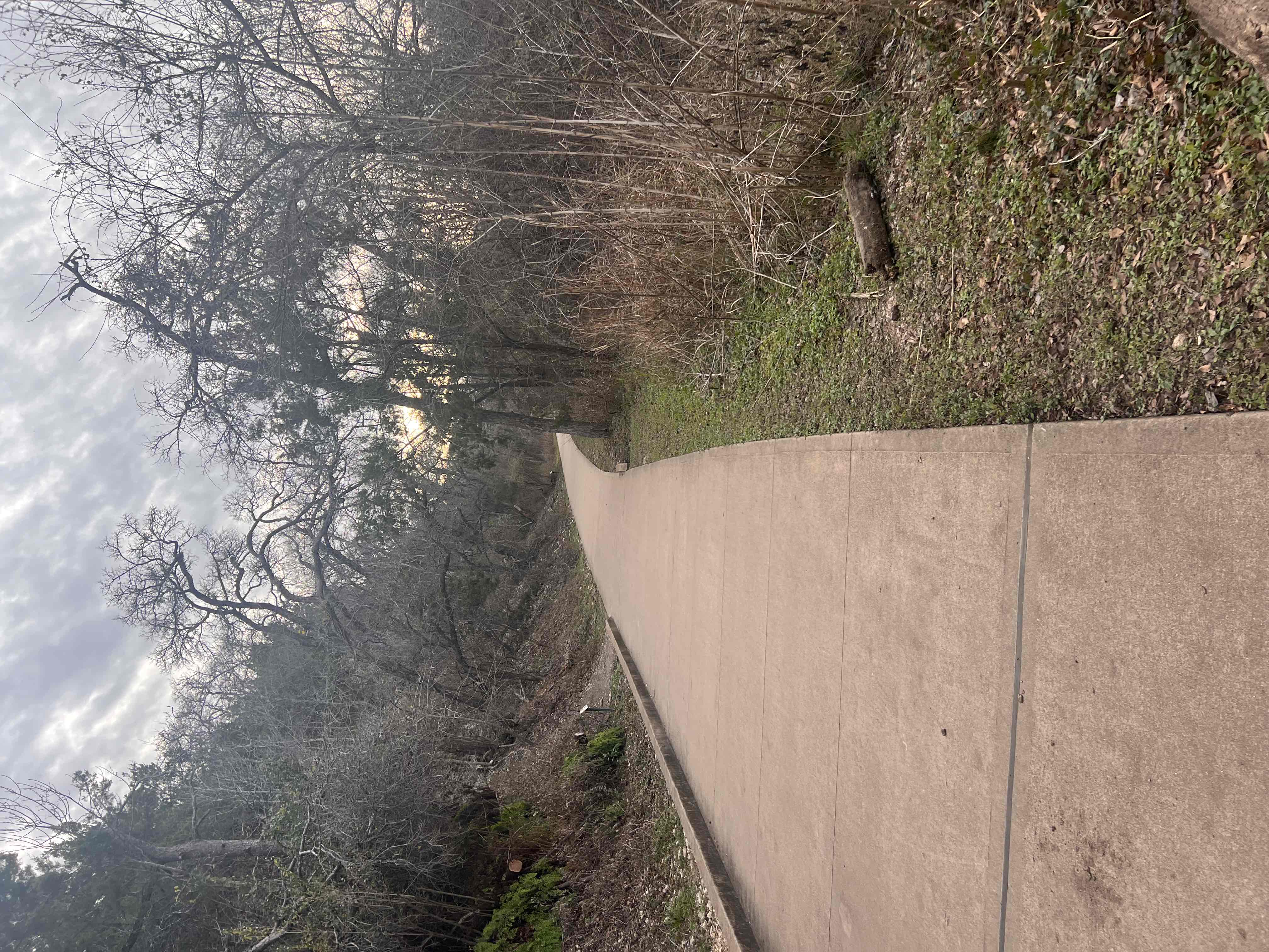 Hike the Brushy Creek Regional Trail