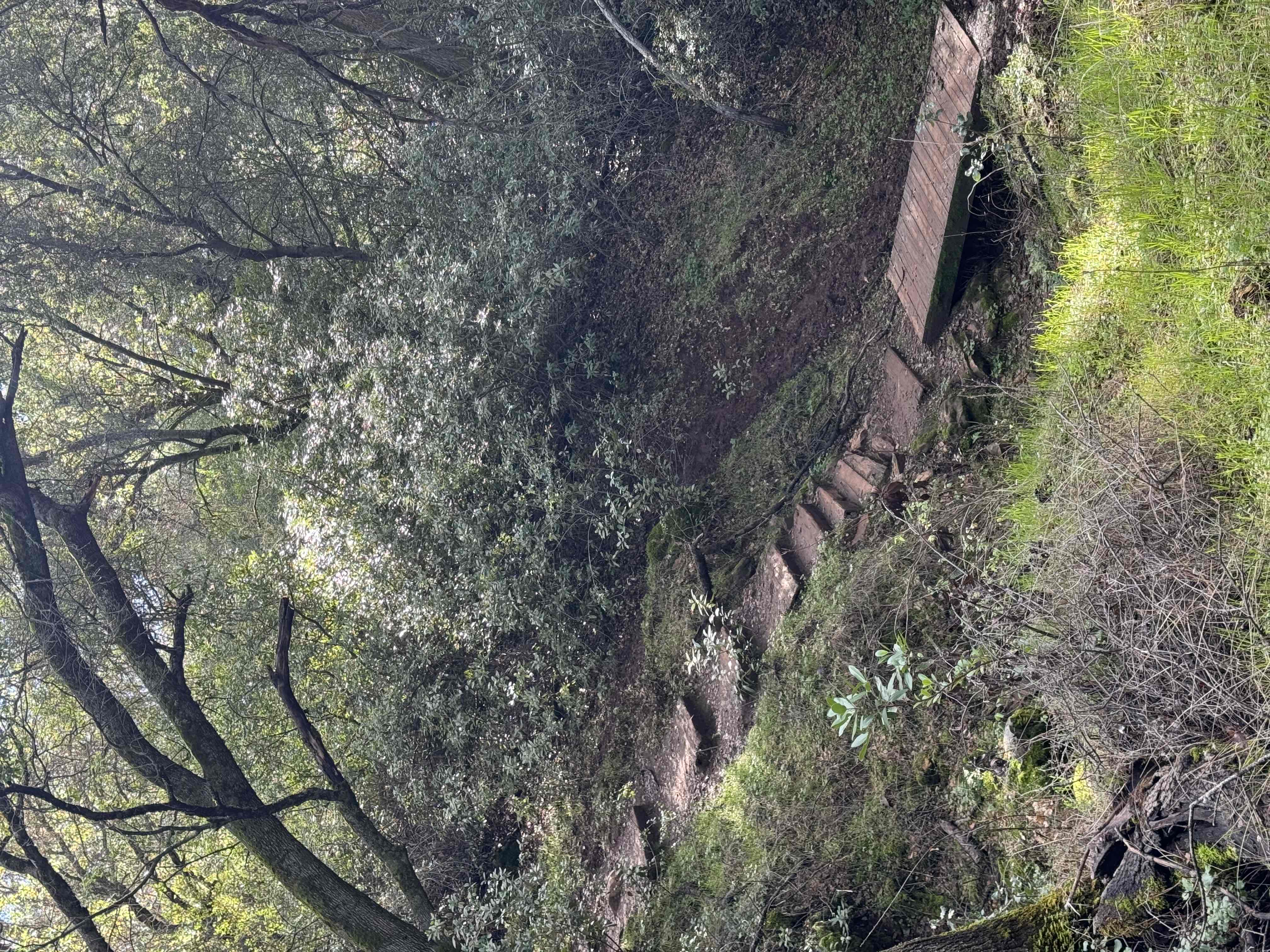 Upper Natural Bridge Trail