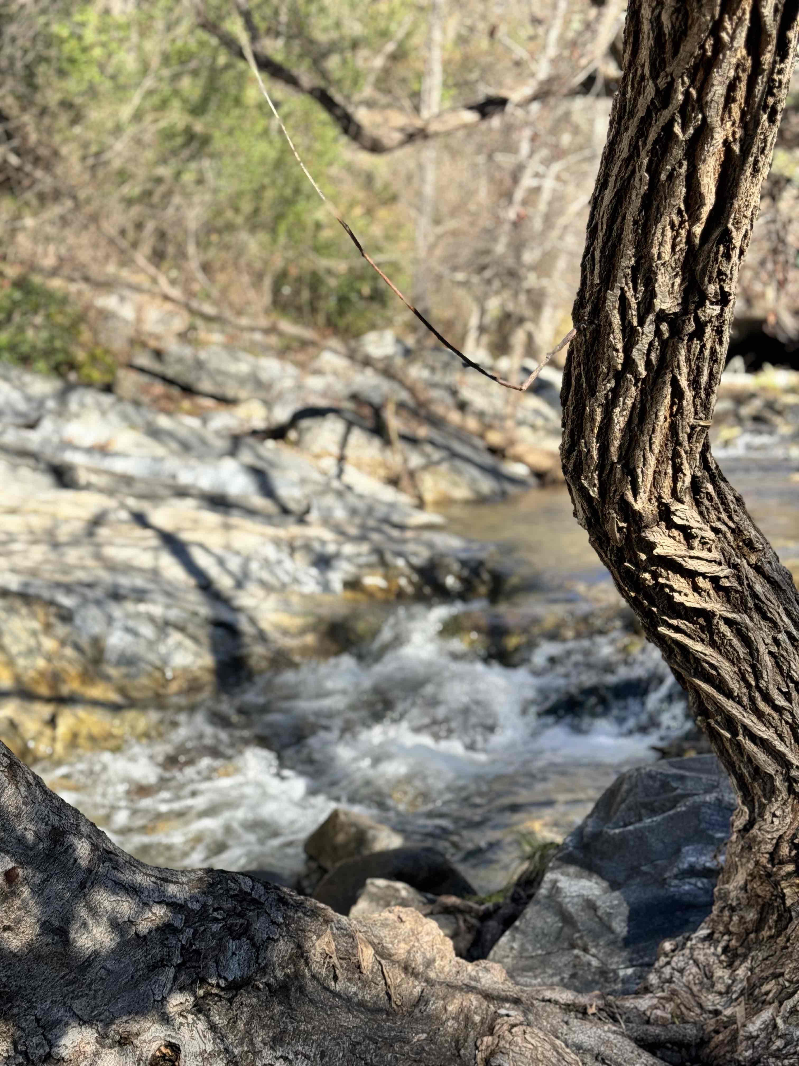 Upper Natural Bridge Trail