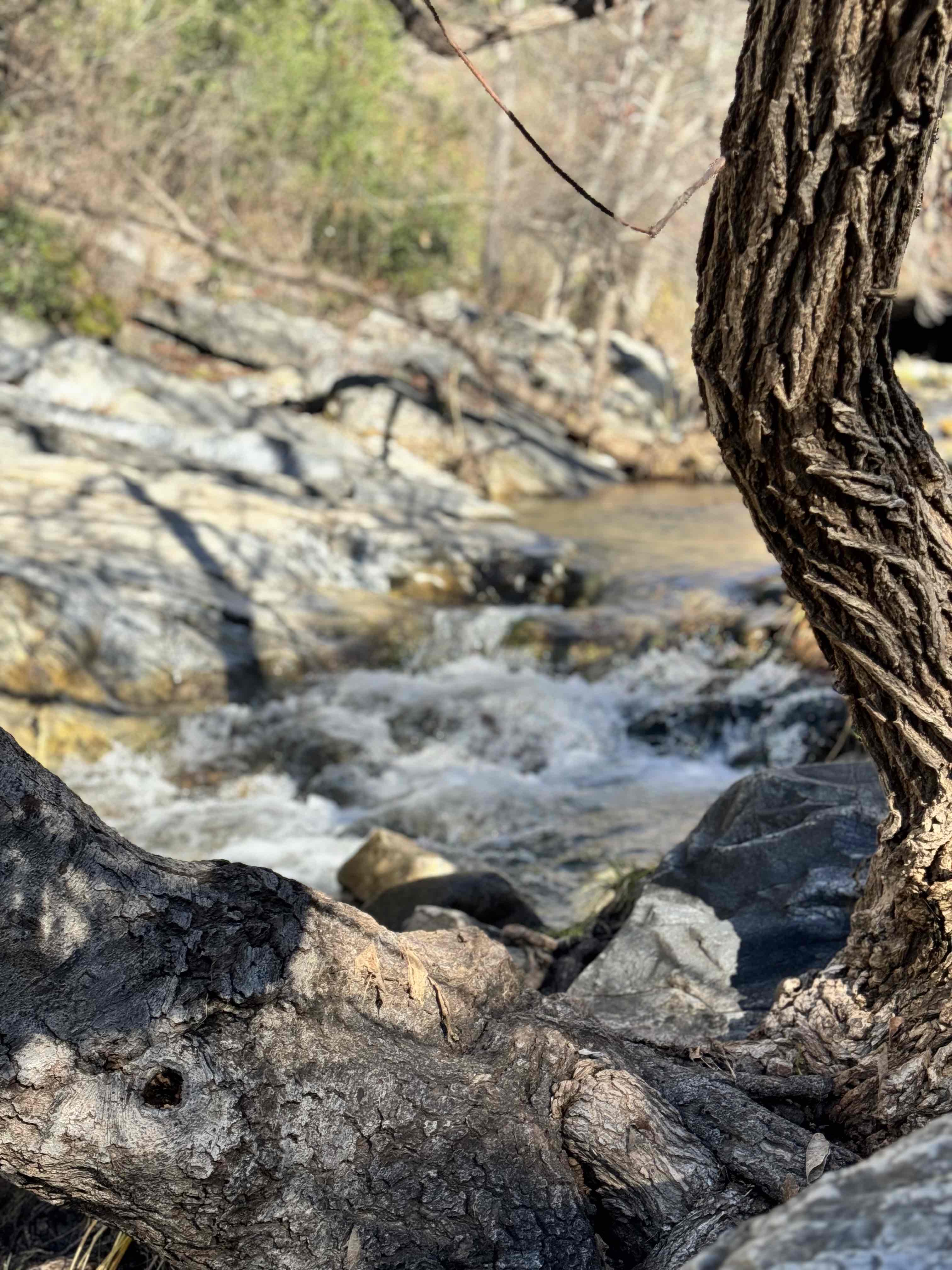 Upper Natural Bridge Trail