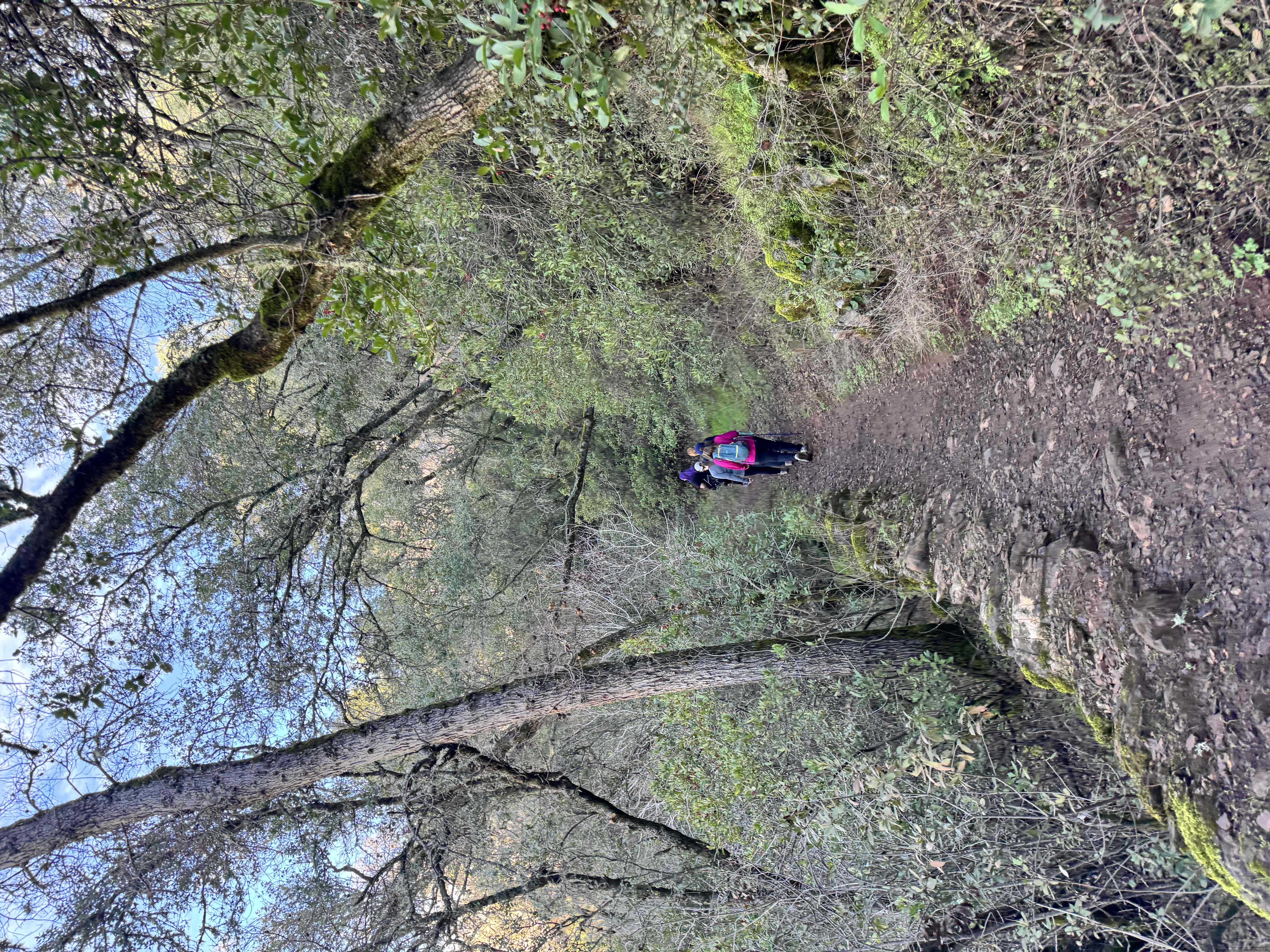 Upper Natural Bridge Trail