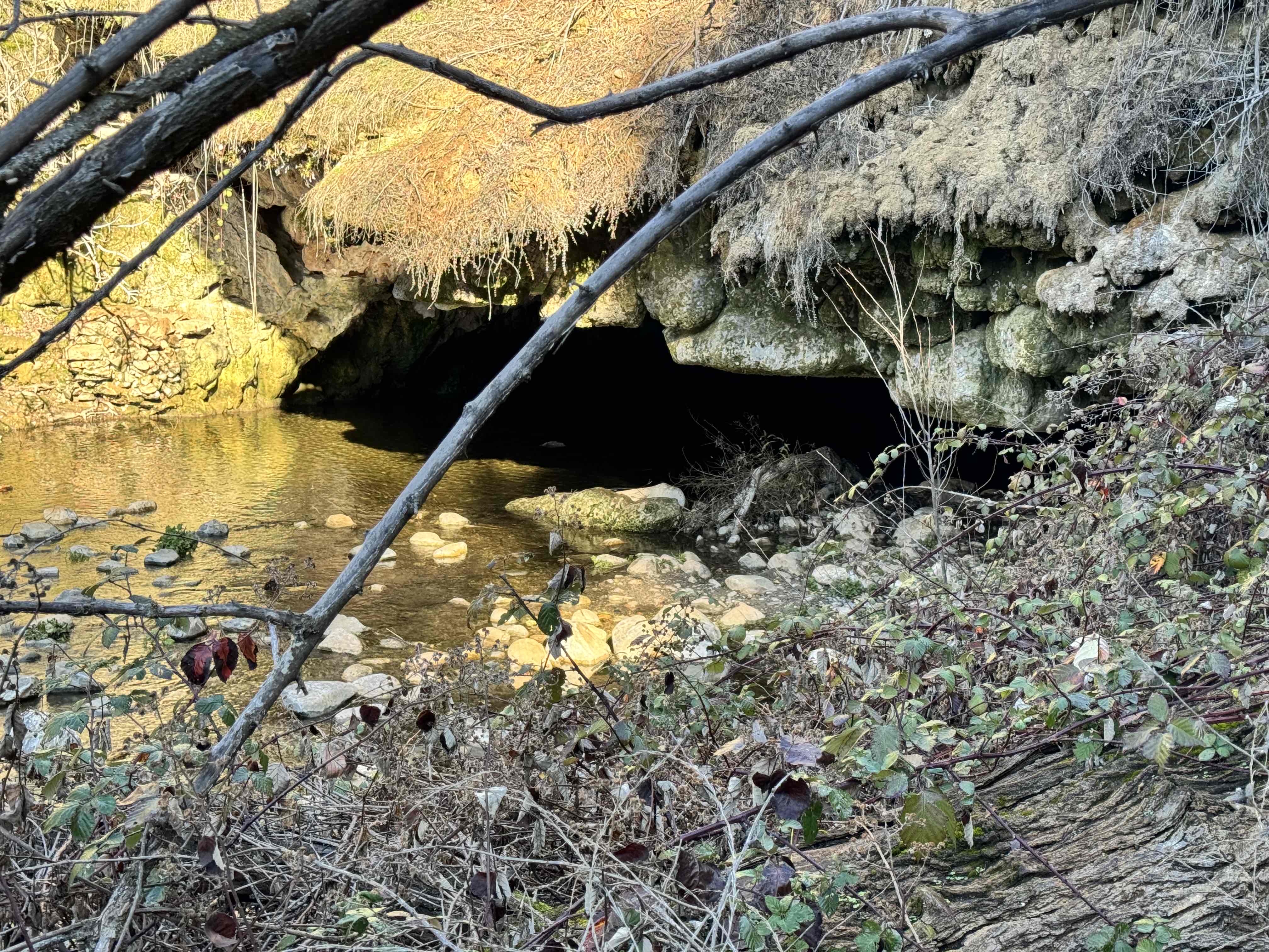 Upper Natural Bridge Trail