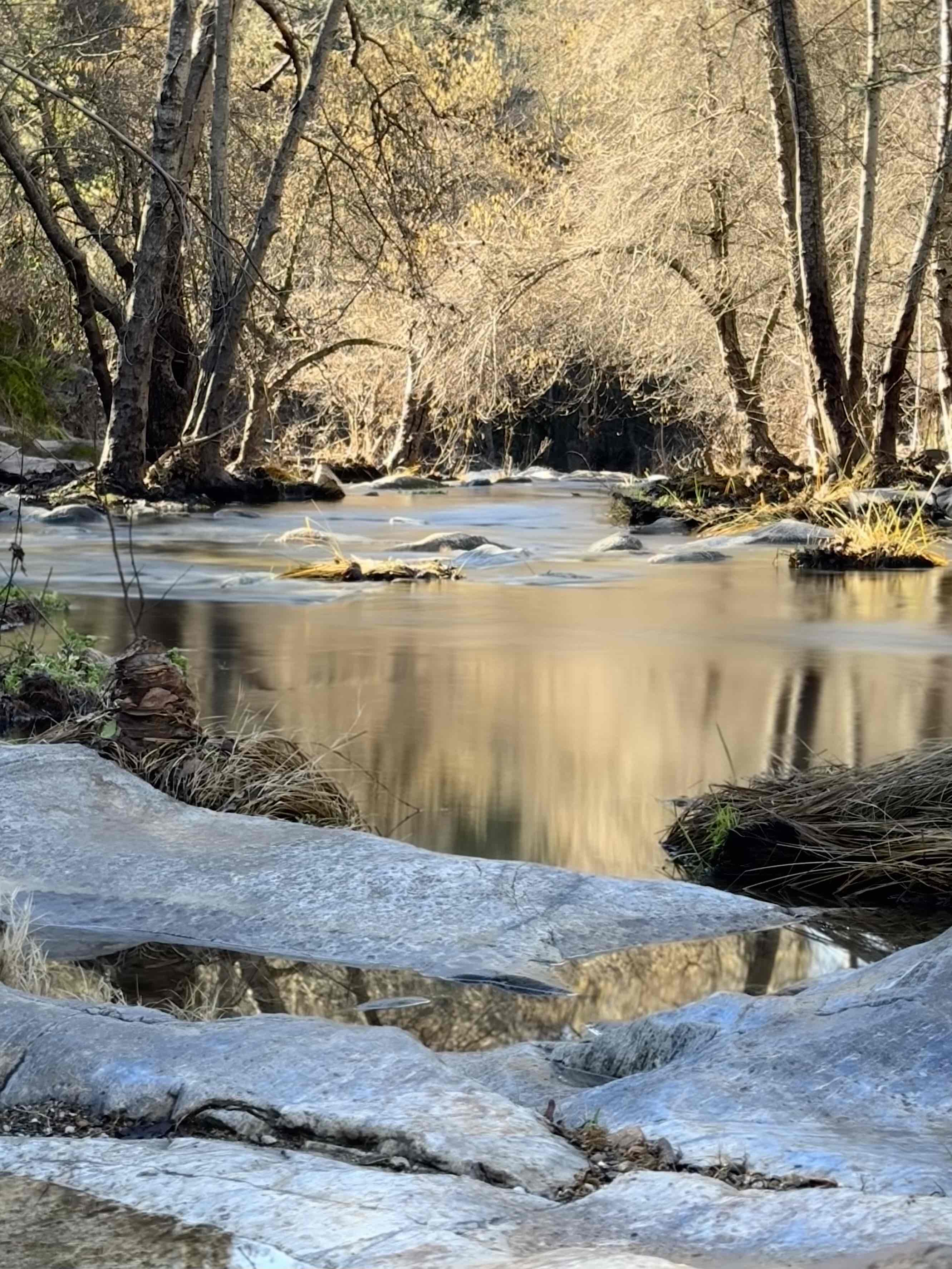 Upper Natural Bridge Trail