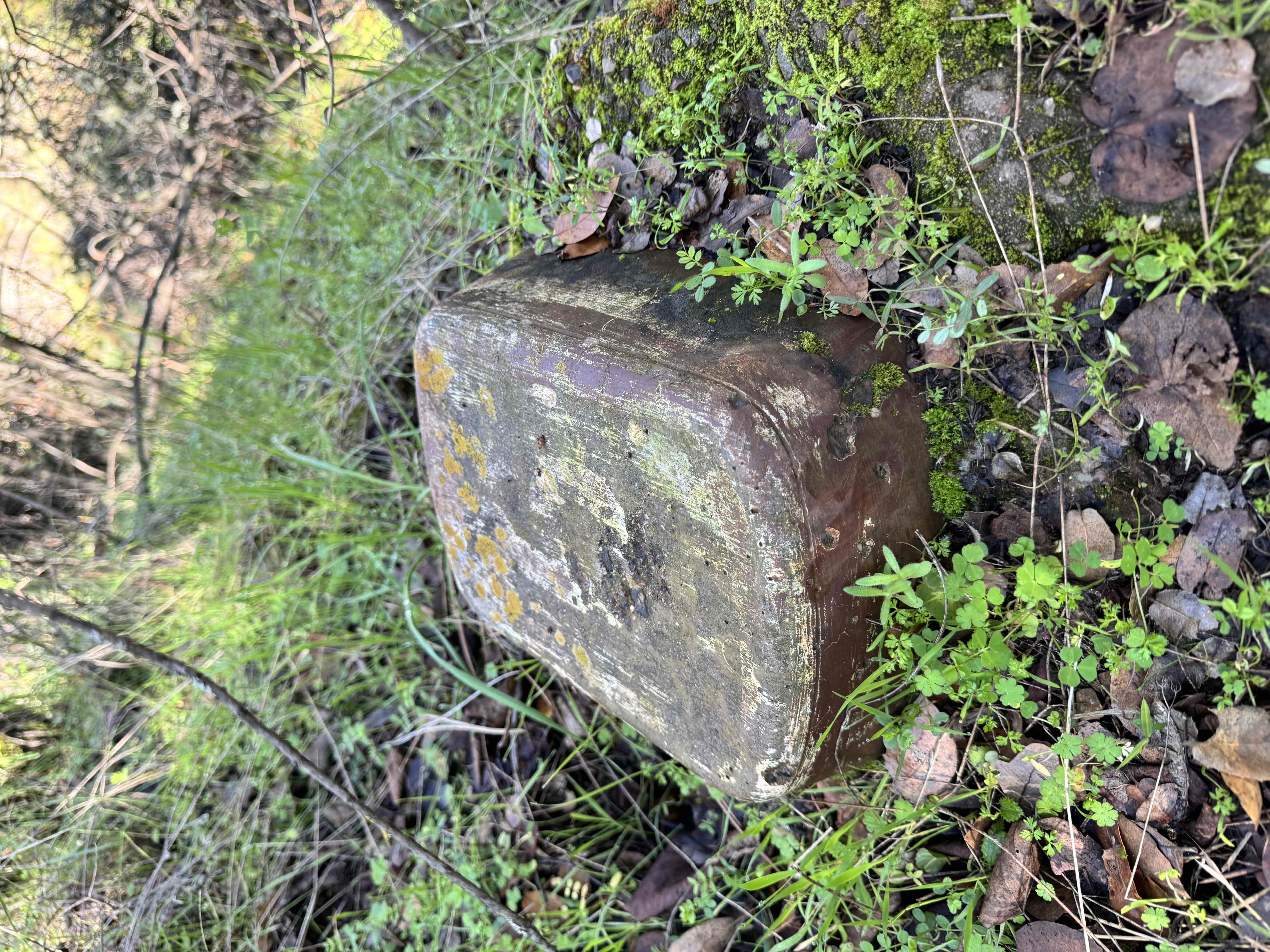 Upper Natural Bridge Trail