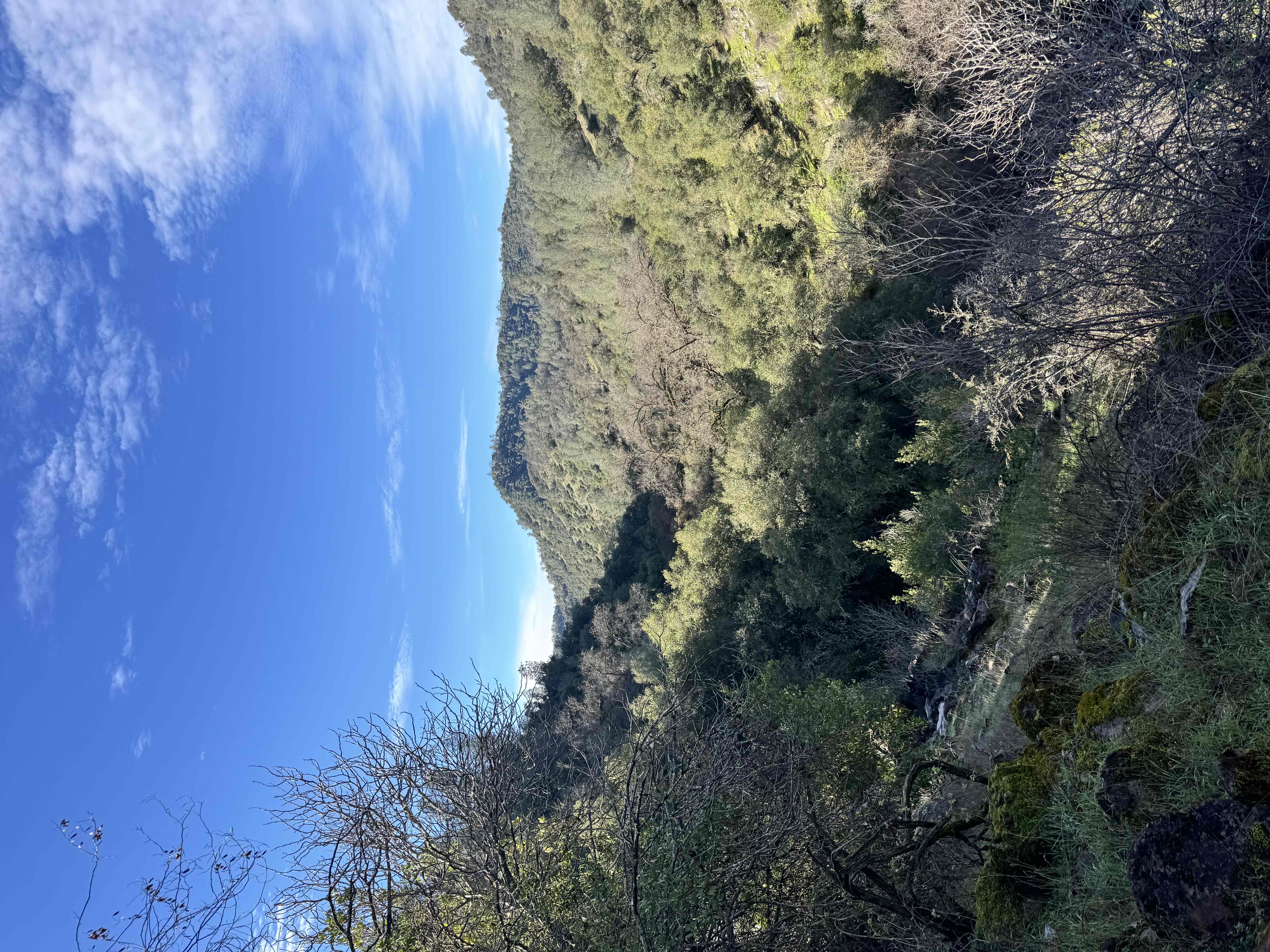 Upper Natural Bridge Trail