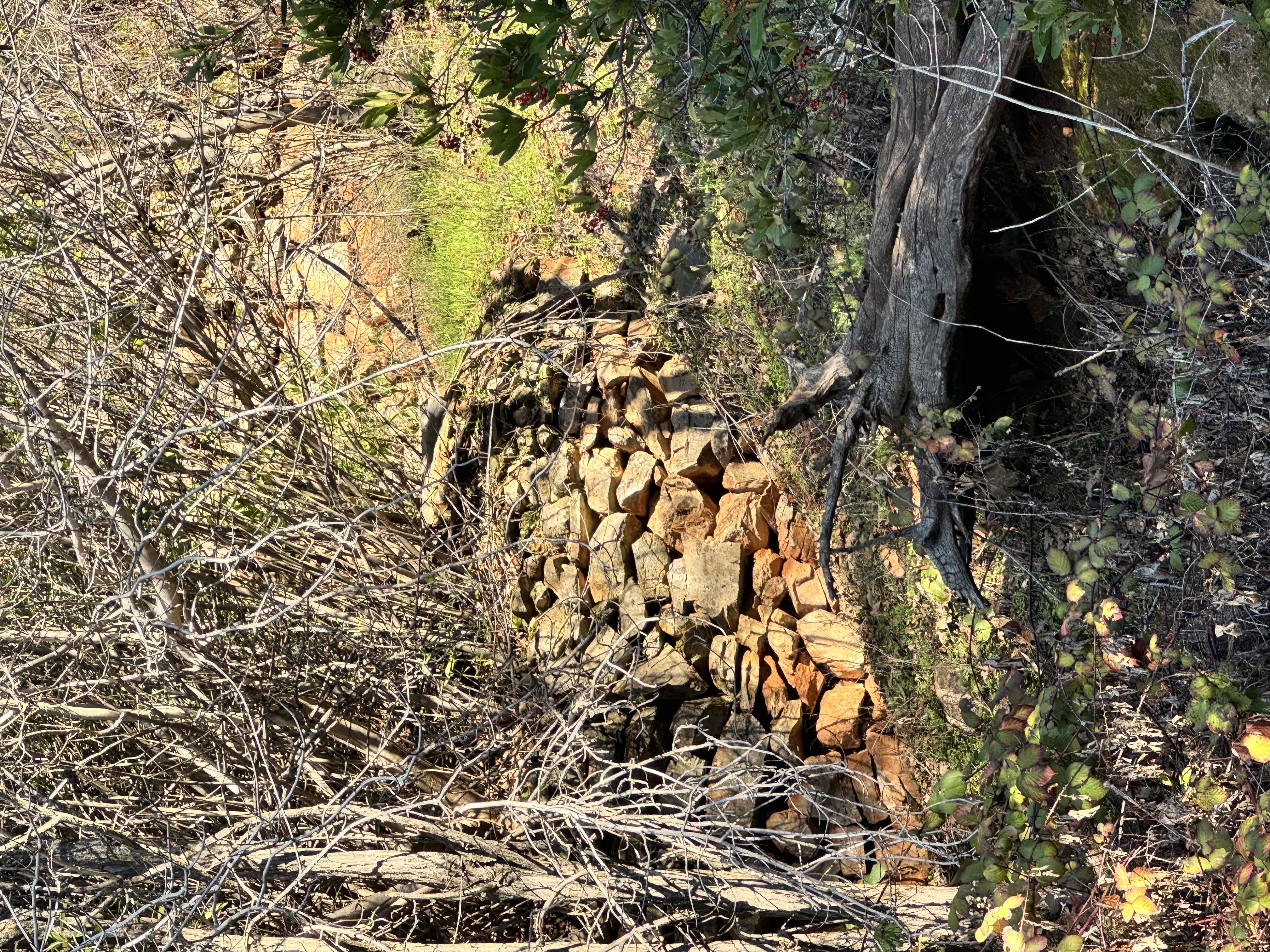 Upper Natural Bridge Trail