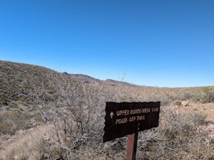 Upper Burro Mesa Pouroff
