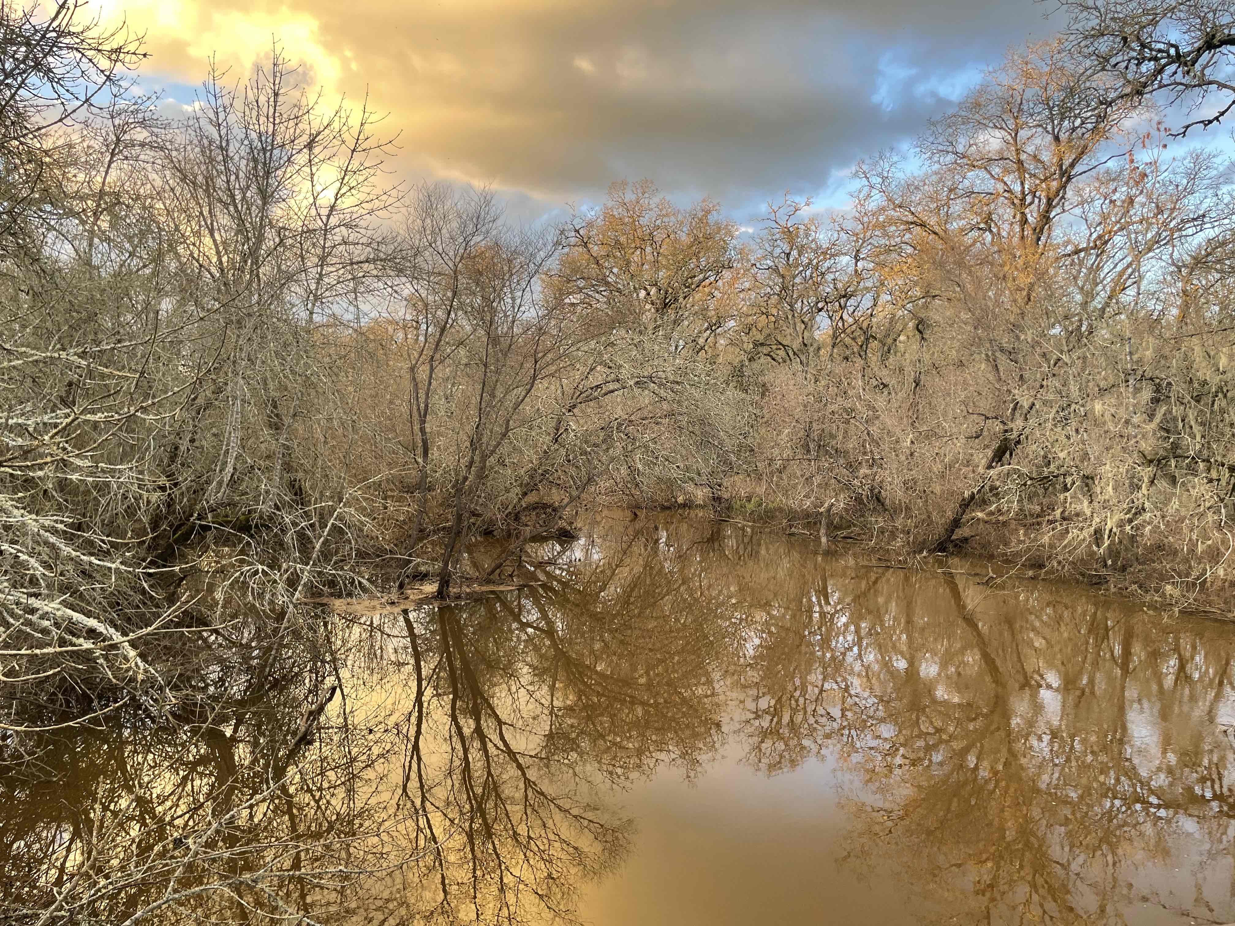 Joe Rodota Trail