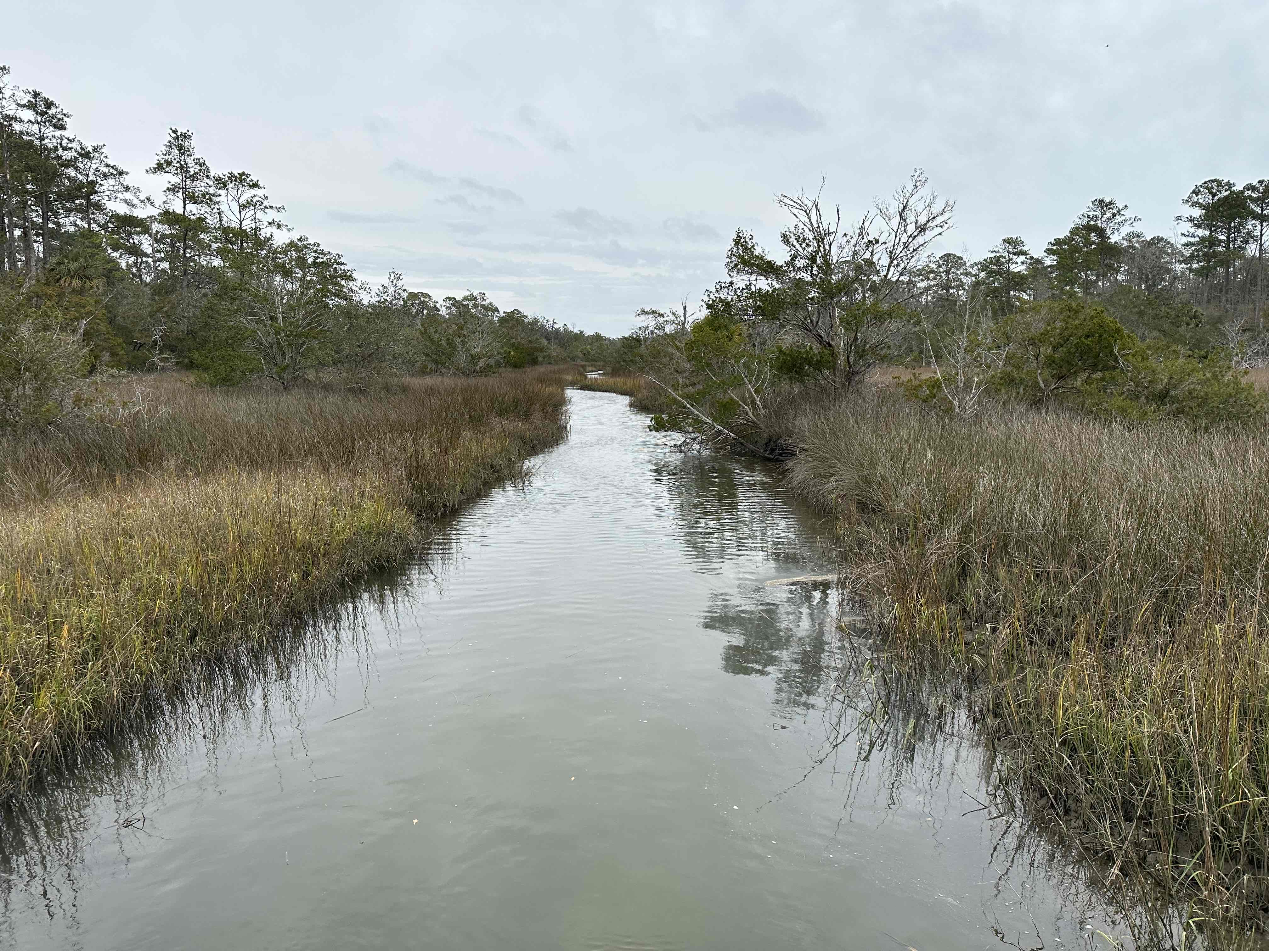 Whitemarsh Preserve