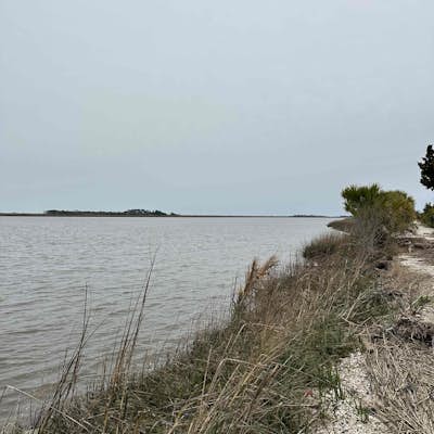 McQueen's Island Historical Trail