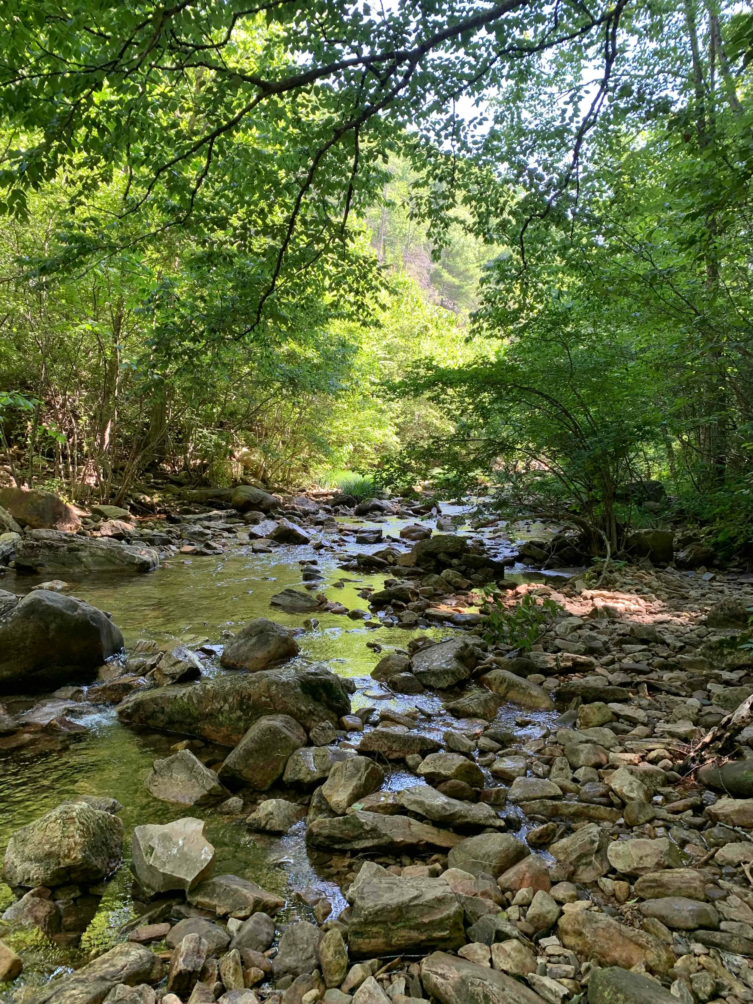 Saint Mary's Wilderness