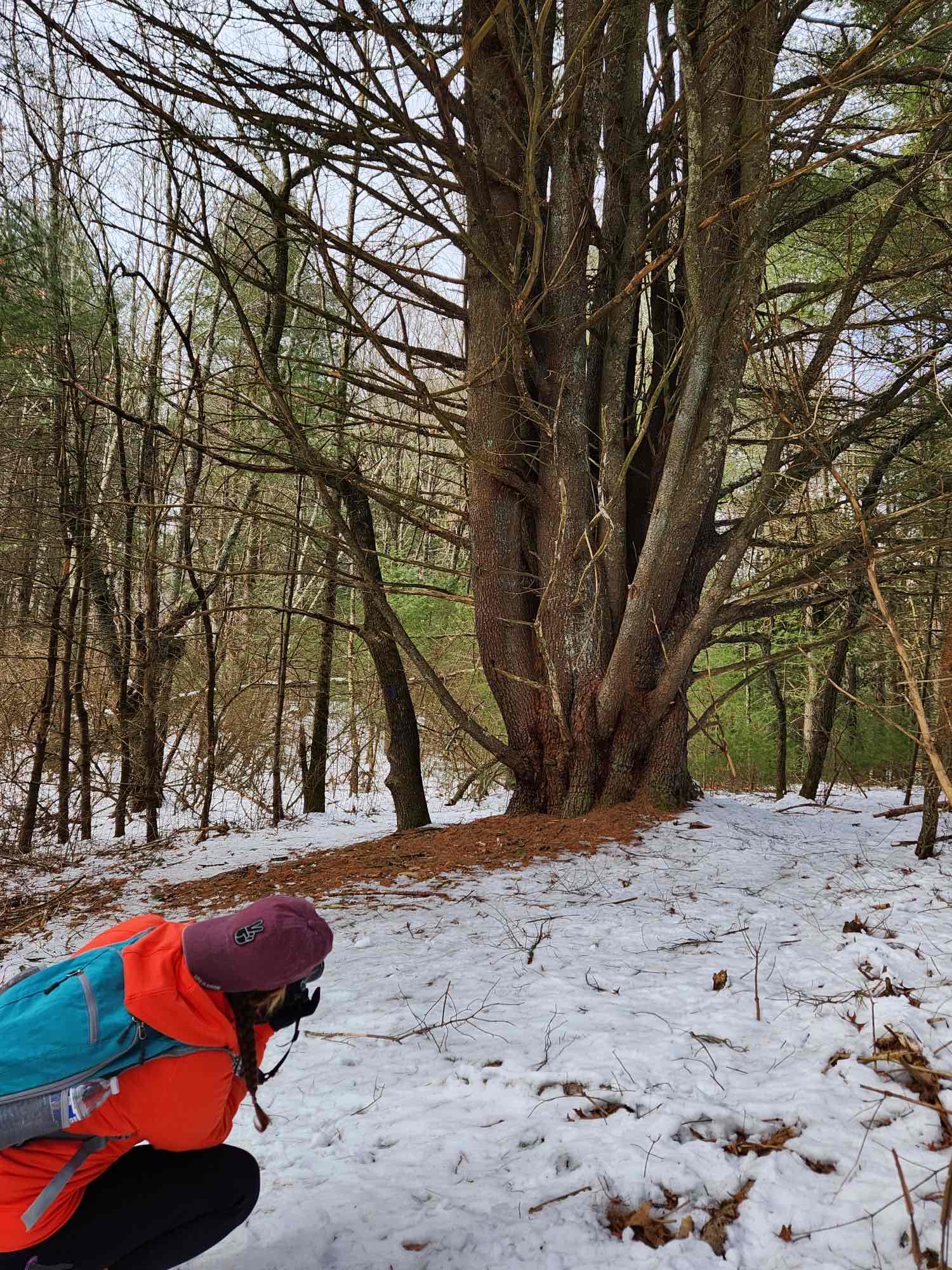 Hike Sugar Brook Loop Trail