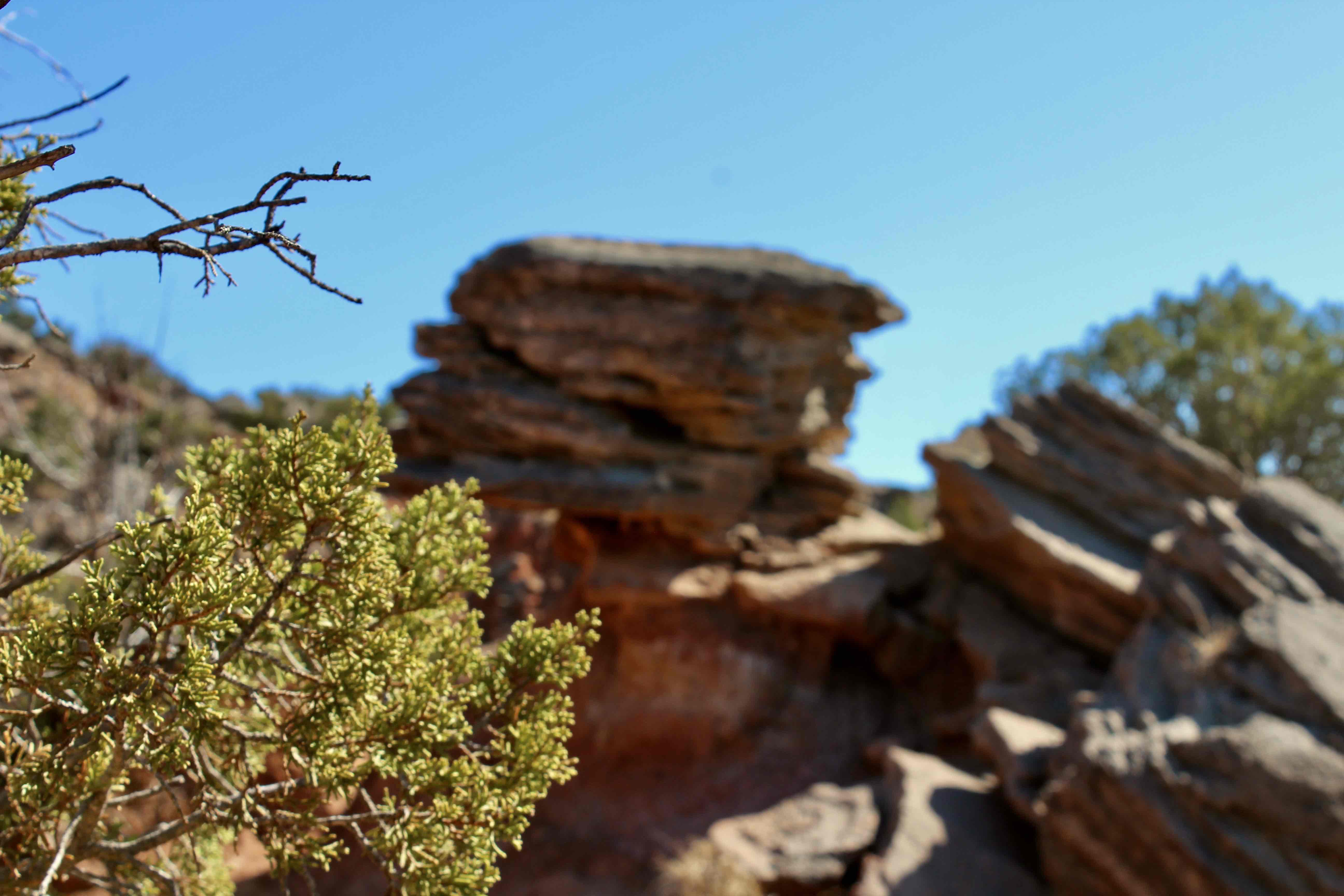 Rock Garden Trail