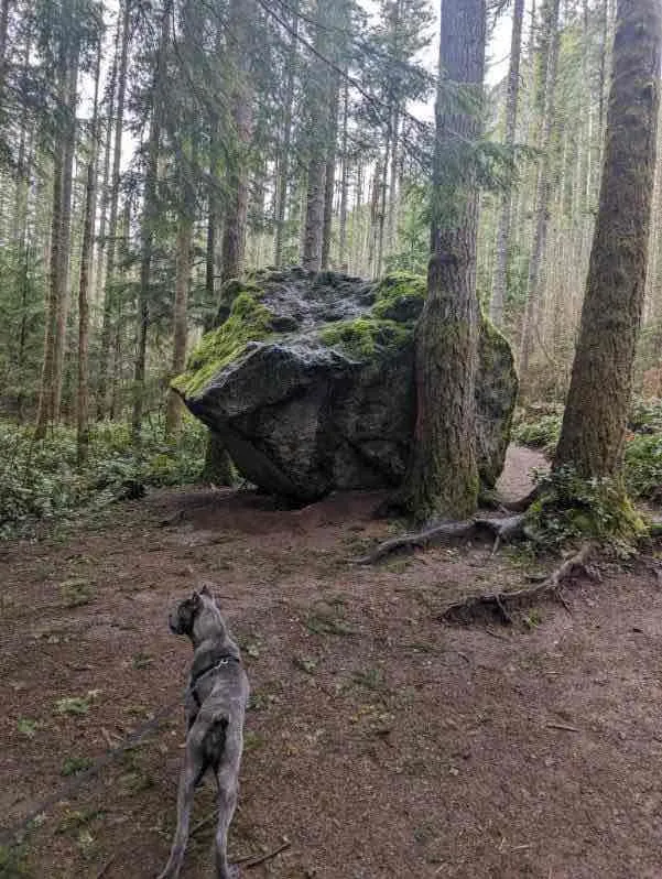 Rattlesnake Ledge