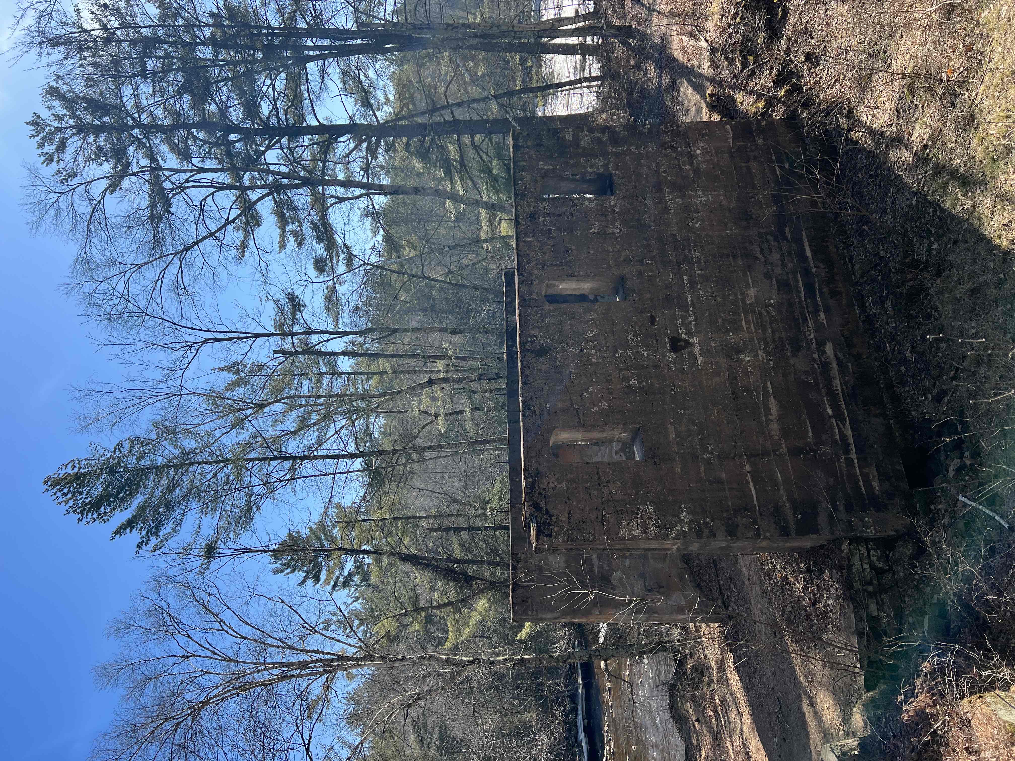 Hike the Quarry Loop Trail