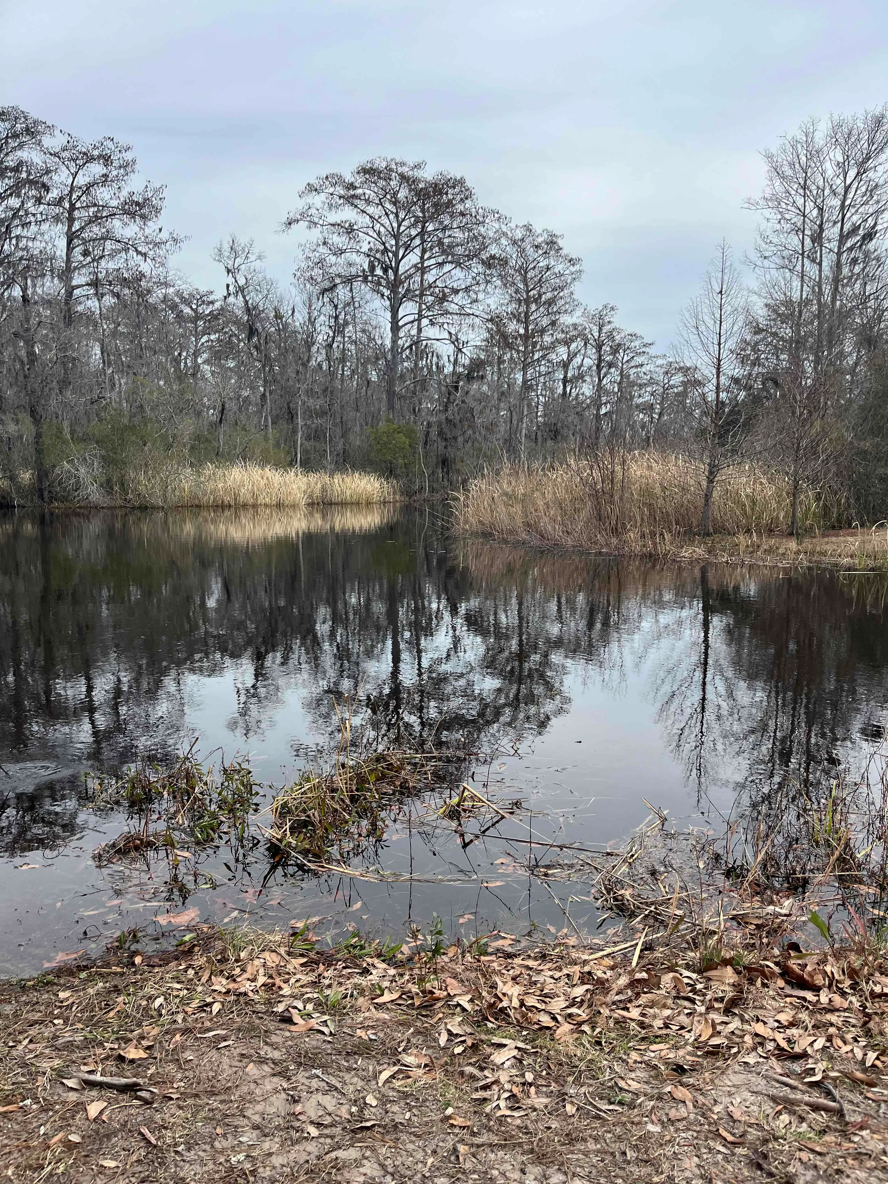 J.F. Gregory Park Trail