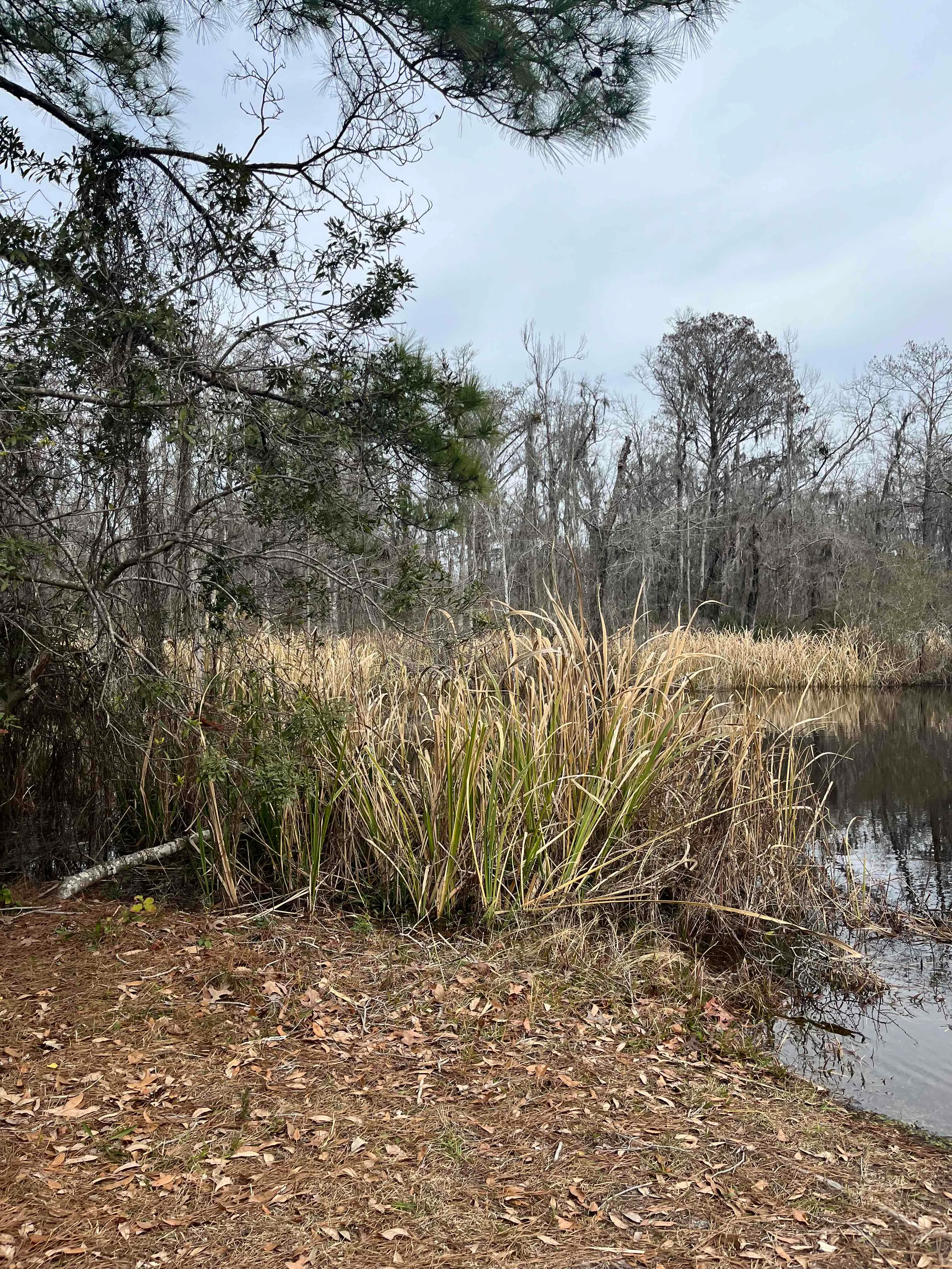 J.F. Gregory Park Trail