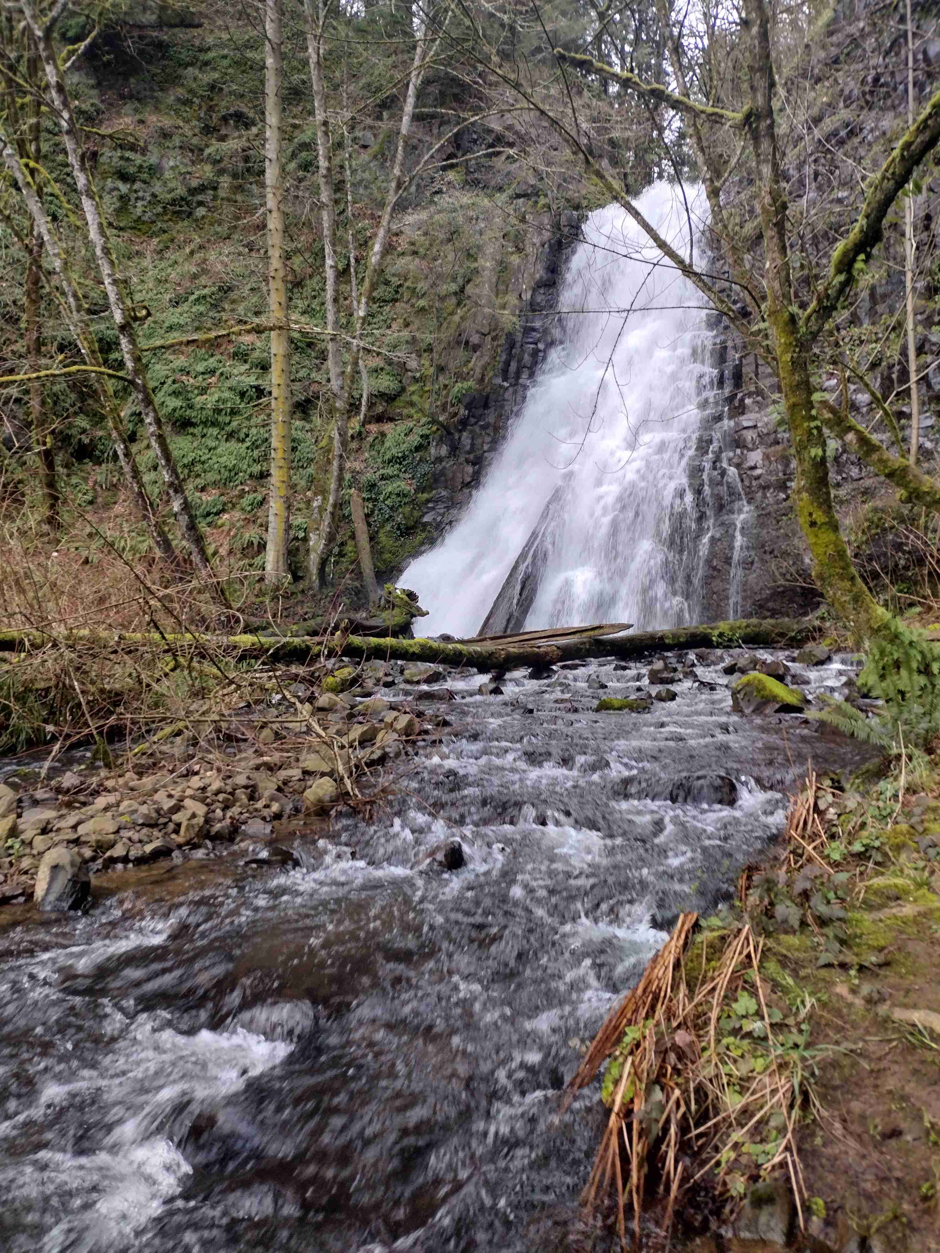 Fall Creek Falls (aka Stella Falls)